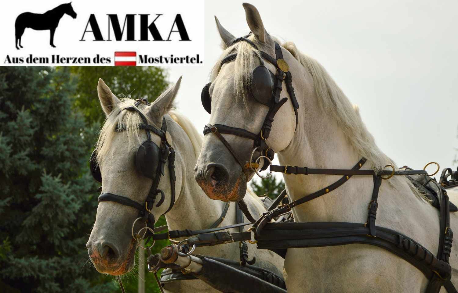 Logo AMKA. Pferdekopf-Silhouette in Orange und Rot. Schriftzug AMKA.