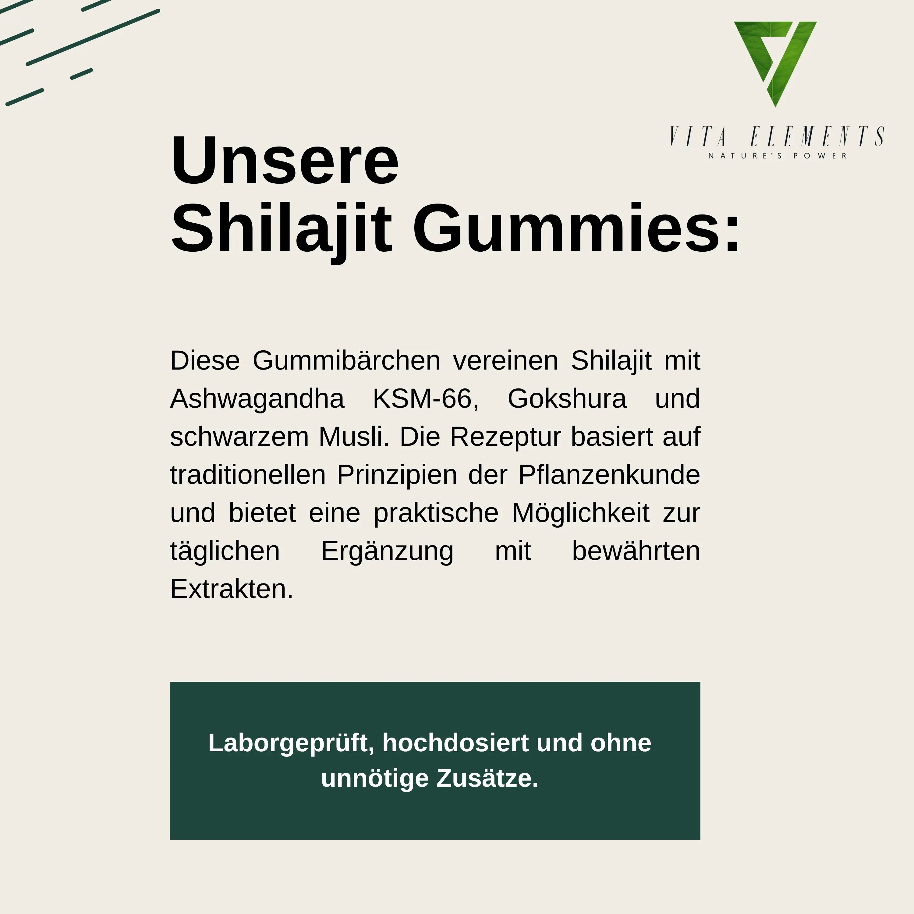 Vita Elements Himalaya Shilajit Gold Gummibärchen