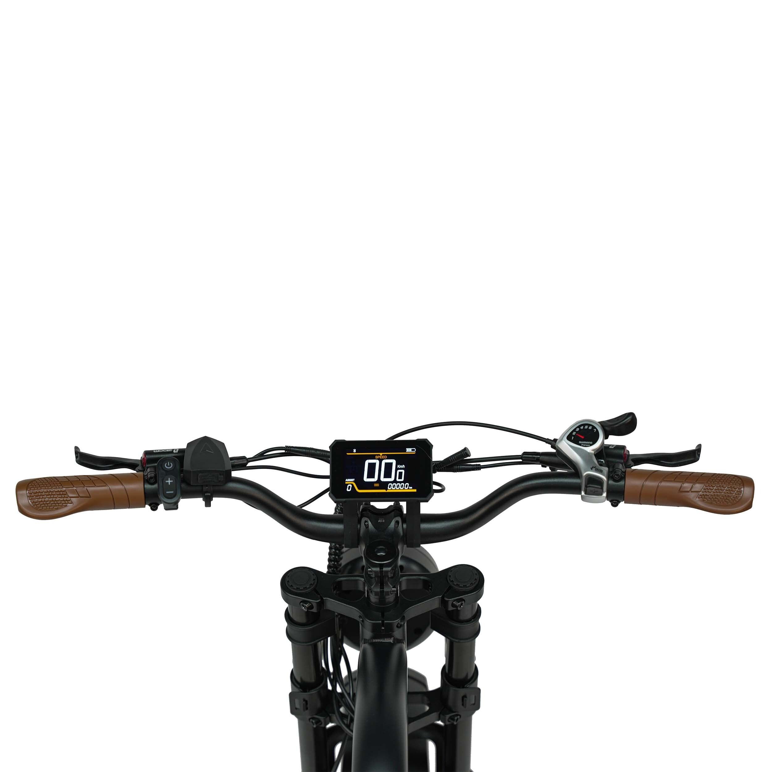 Lenker eines schwarzen Elektro-Mountainbikes. Braune Griffe, Display, Bedienelemente.