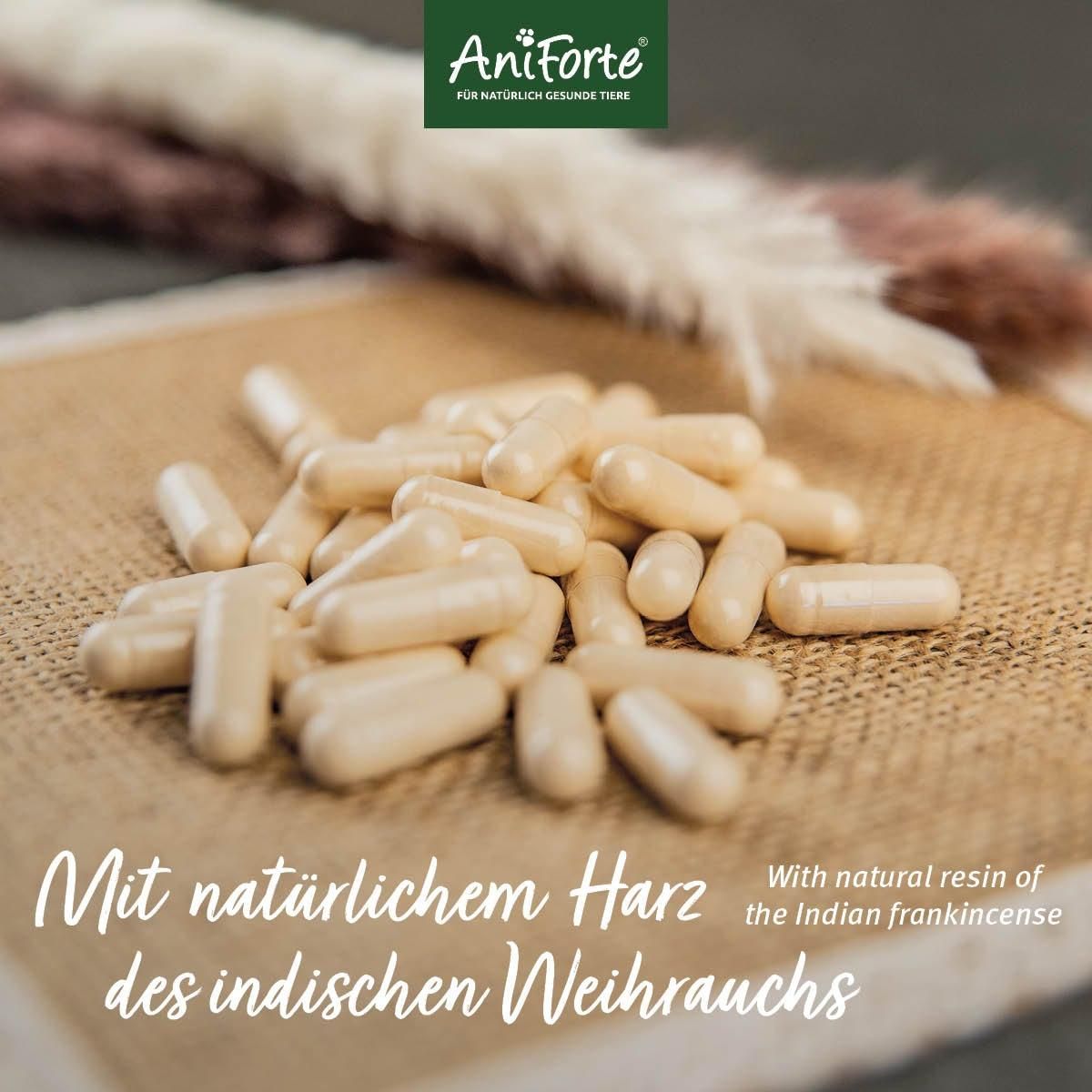 Beige Kapseln auf braunem Untergrund. Text: Mit natürlichem Harz des indischen Weihrauchs.