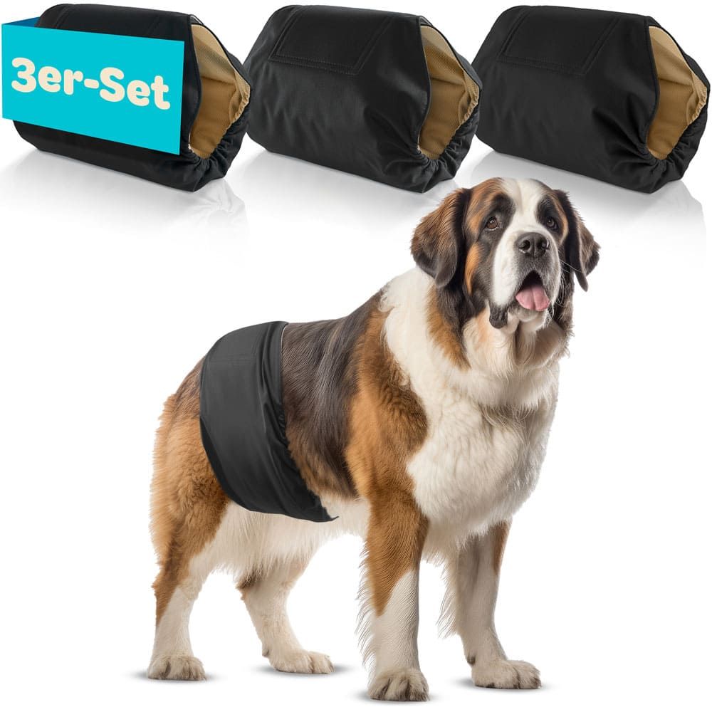 Drei Hundewindeln und ein Hund. Text: 3er-Set.