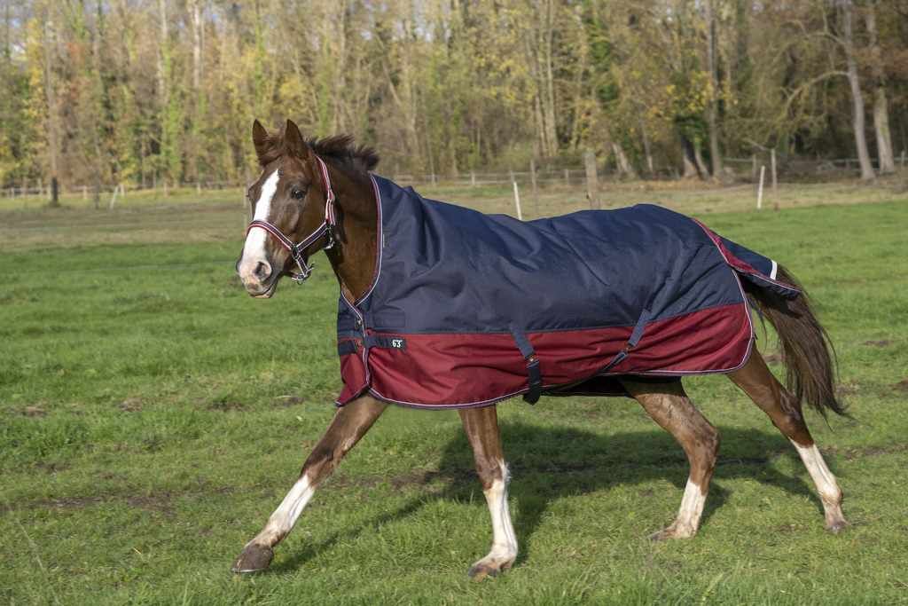 Equitheme Outdoordecke TYREX High Neck