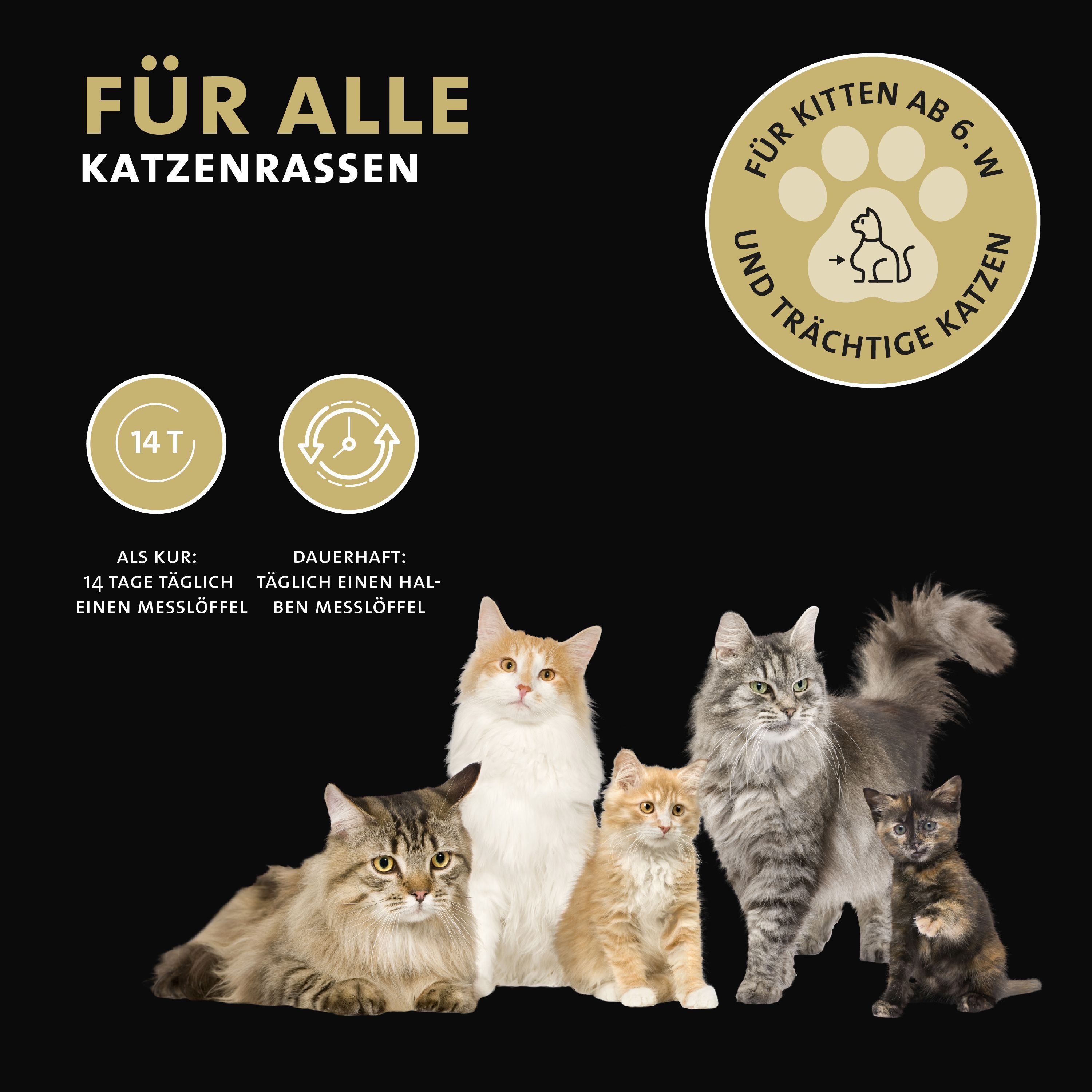 Verschiedene Katzen. Text: Für alle Katzenrassen. Für Kitten ab 6 Wochen und trächtige Katzen.