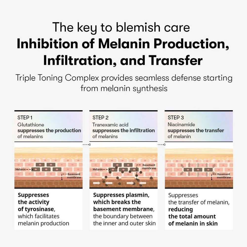 Schema zur Hemmung der Melaninproduktion, Infiltration und Übertragung.
