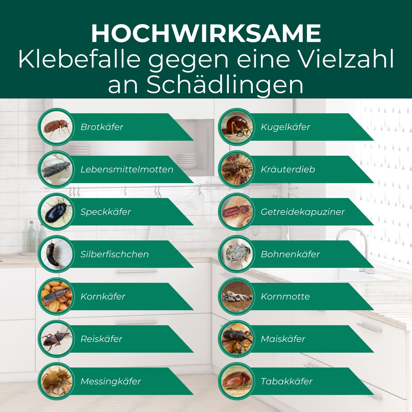 Übersicht über Schädlinge, gegen die die Klebefalle wirkt: Brotkäfer, Lebensmittelmotten, Silberfischchen, Kornkäfer, Reiskäfer, uvm.
