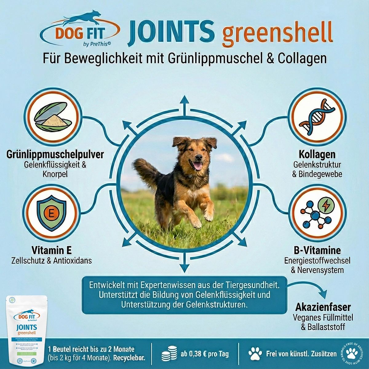 Hund rennt auf Wiese. Text: DOG FIT, JOINTS greenshell. Grafiken: Grünlippmuschel, Kollagen, Vitamin E, B-Vitamine, Akazienfaser.