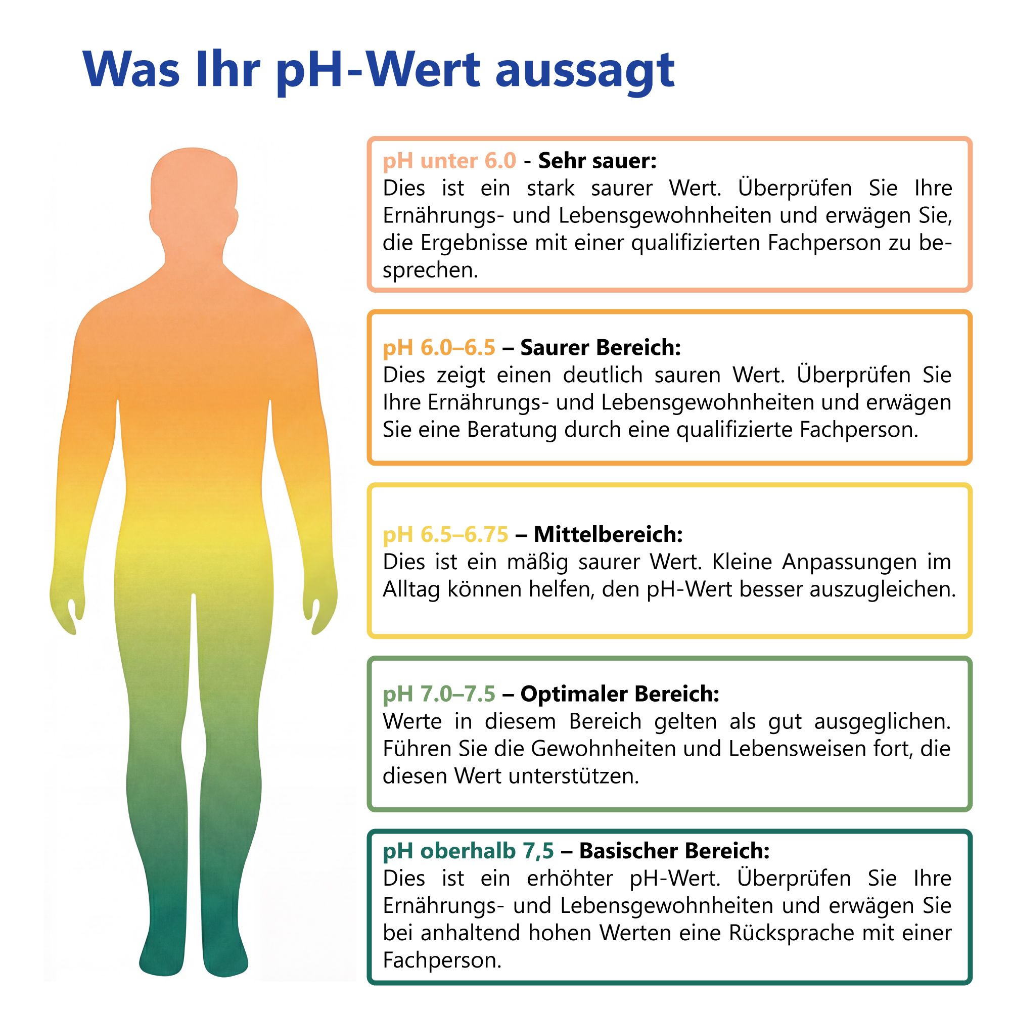 Grafik zeigt pH-Wert-Bereiche und deren Bedeutung. Bereiche: sauer, mittel, optimal, basisch. Text: Was Ihr pH-Wert aussagt.