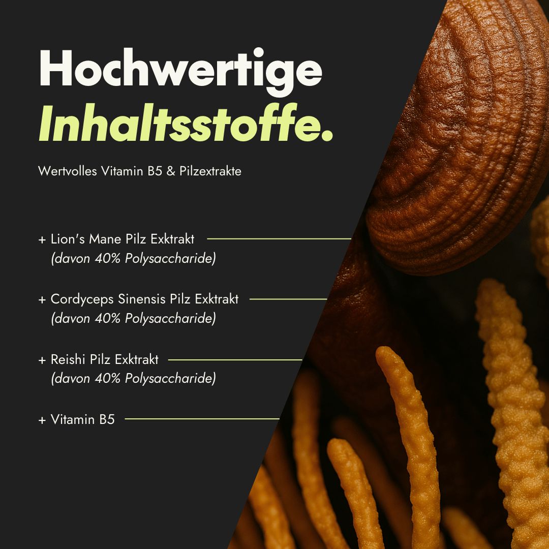 Nahaufnahme von Pilzextrakten. Text: Hochwertige Inhaltsstoffe. Lion's Mane, Cordyceps Sinensis, Reishi Pilz Extrakt, Vitamin B5.