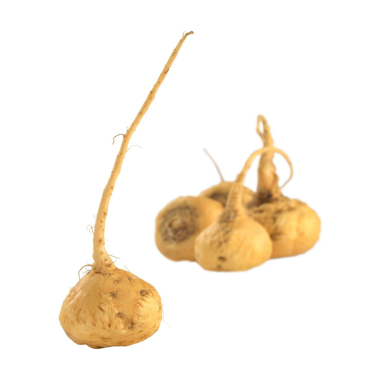 Provital Bio Maca Pulver