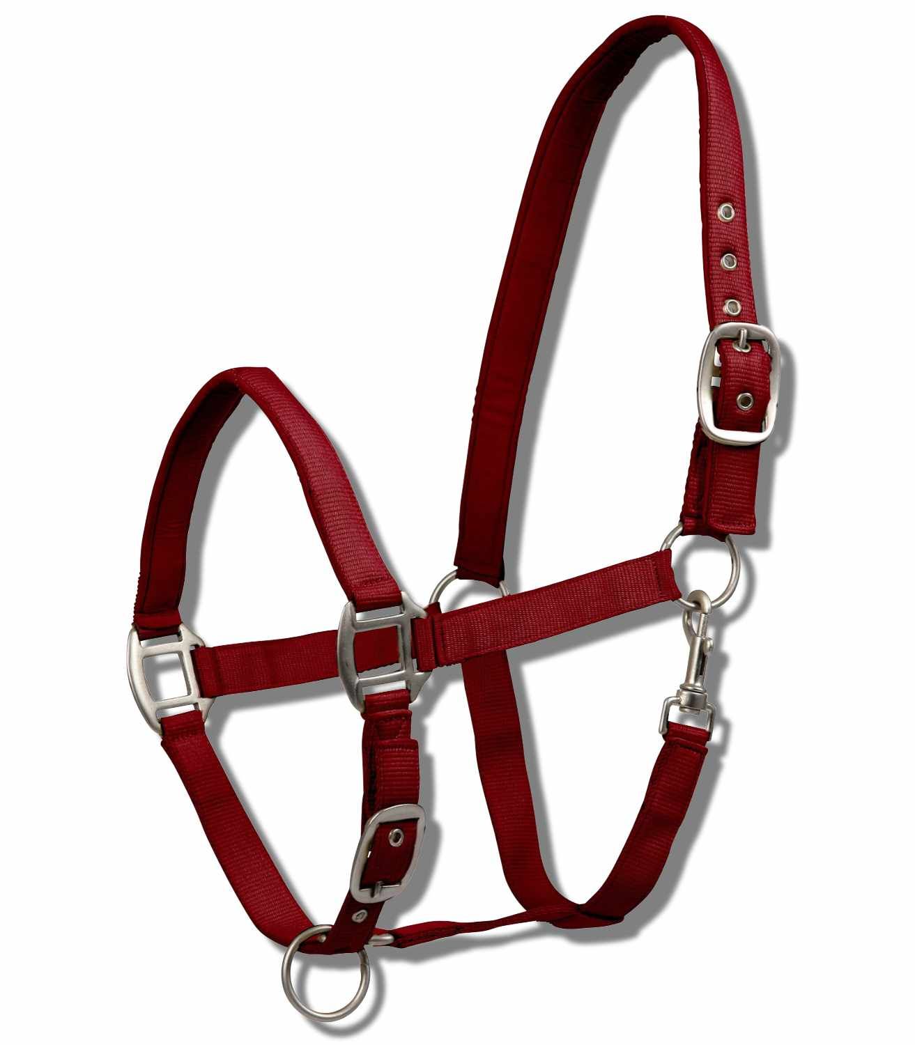 Bordeauxrotes Nylonhalfter mit silberfarbenen Schnallen. Für Pferde.