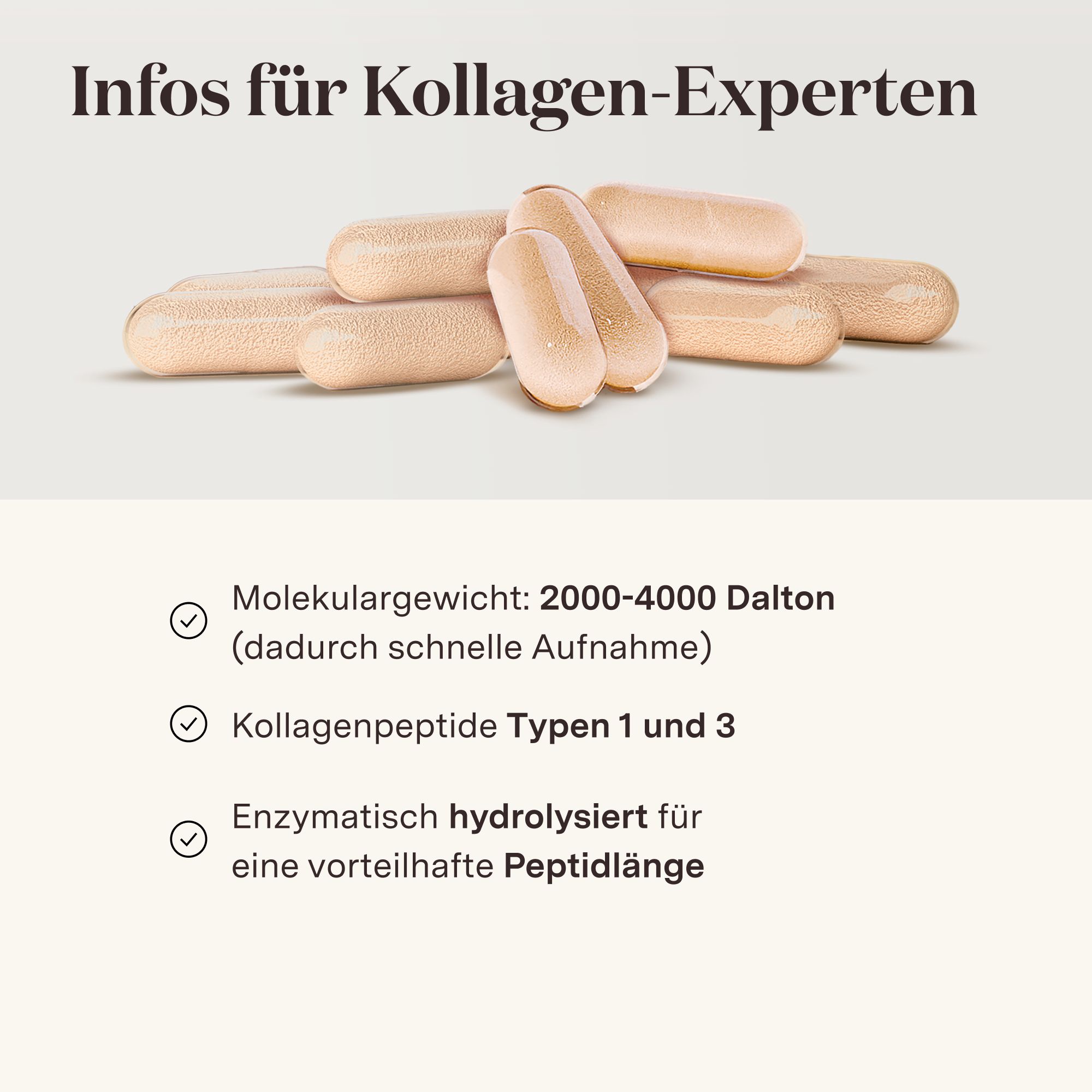 Kapseln auf hellem Hintergrund. Text: Infos für Kollagen-Experten. Molekulargewicht, Kollagenpeptide Typen 1 und 3, enzymatisch hydrolysiert.