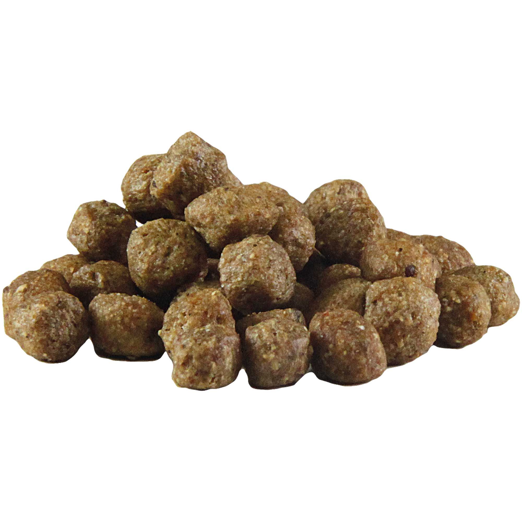 Haufen von braunen, unregelmäßig geformten Trockenfutter-Kroketten. Einzelne Kroketten sind sichtbar.