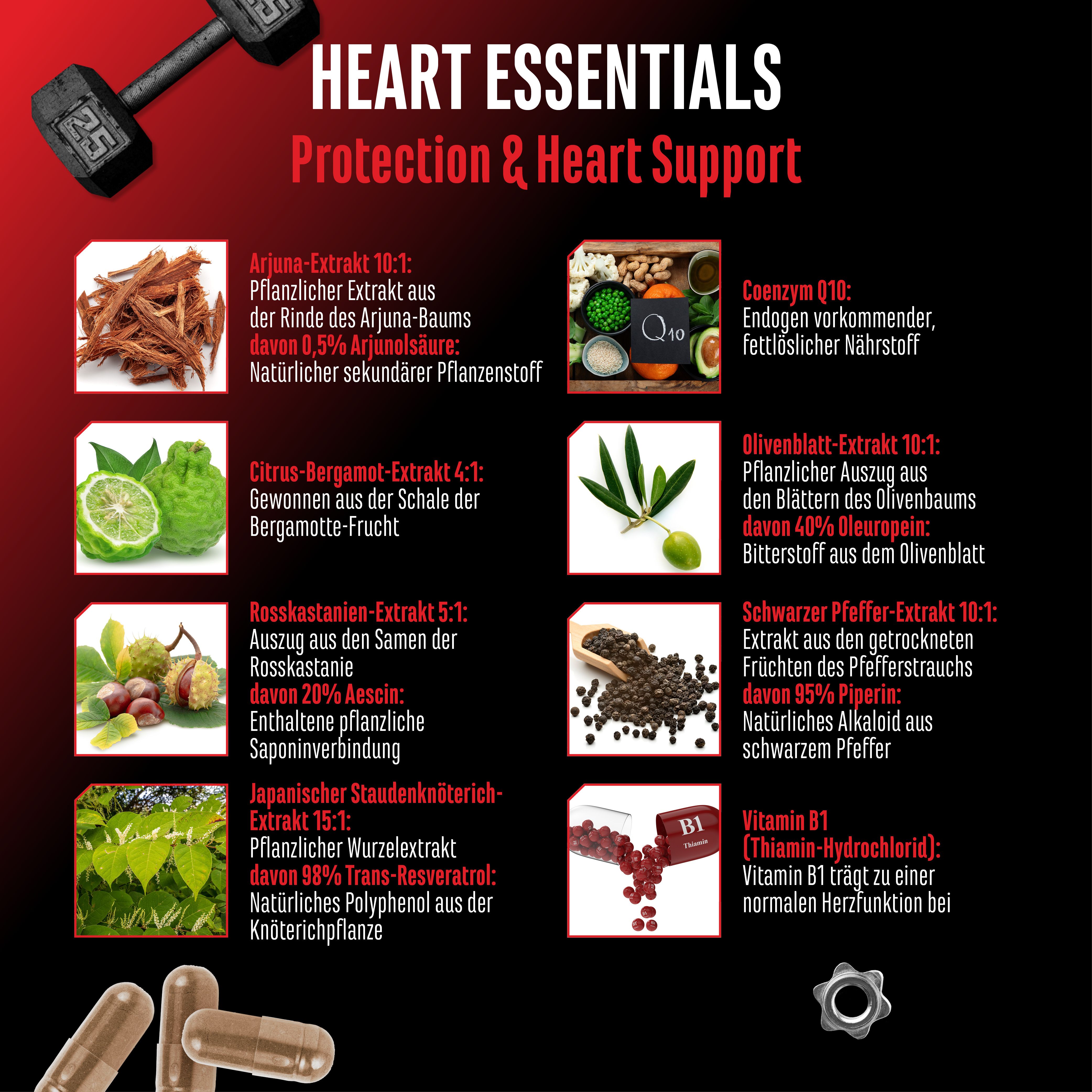 Infografik mit Inhaltsstoffen von Heart Essentials. Enthält Abbildungen von Pflanzen und Inhaltsstoffen. Textliche Beschreibung der Inhaltsstoffe.