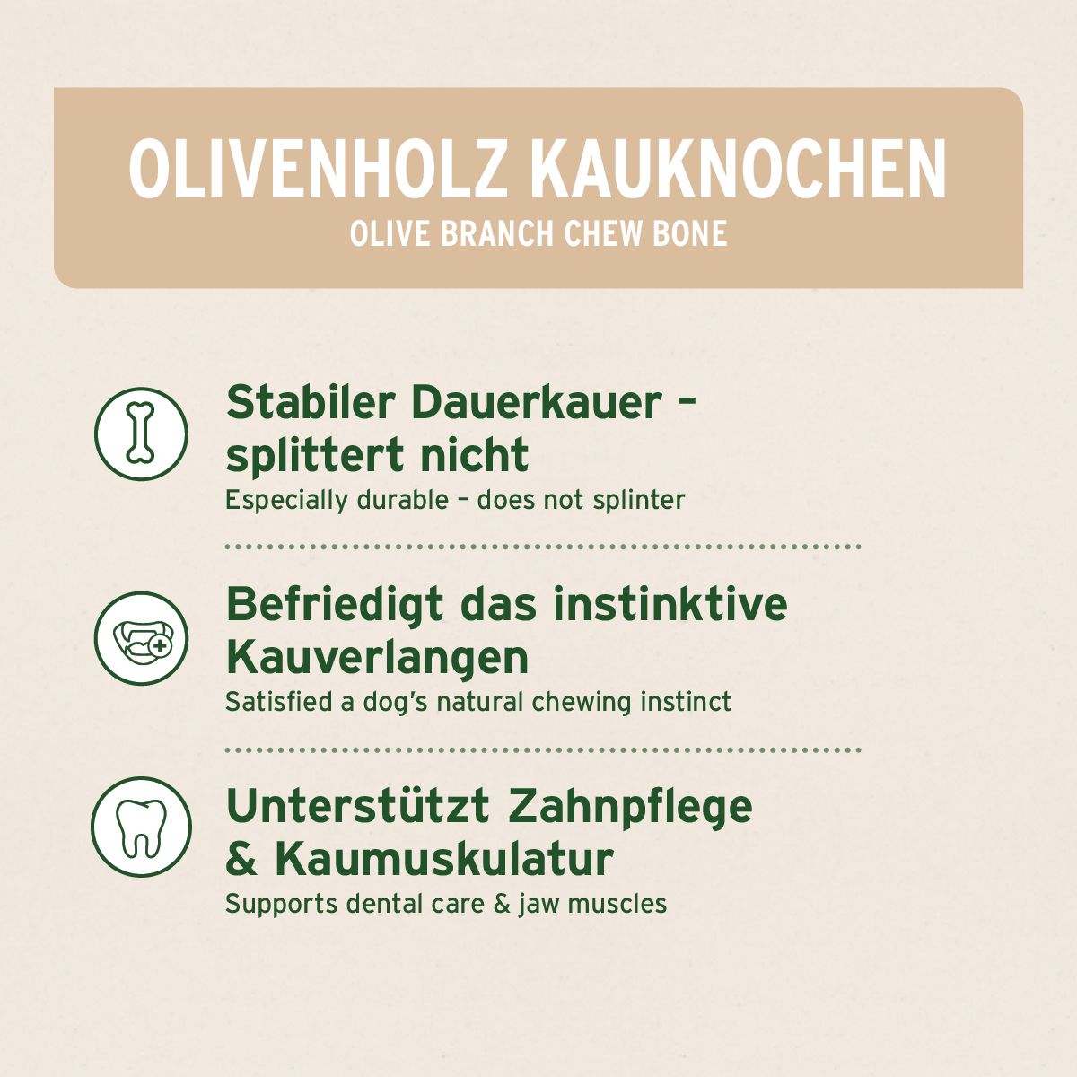 Infografik mit Text und Symbolen. Aufschrift: Olivenholz Kauknoch, Stabiler Dauerkauer, Befriedigt das instinktive Kauverlangen.