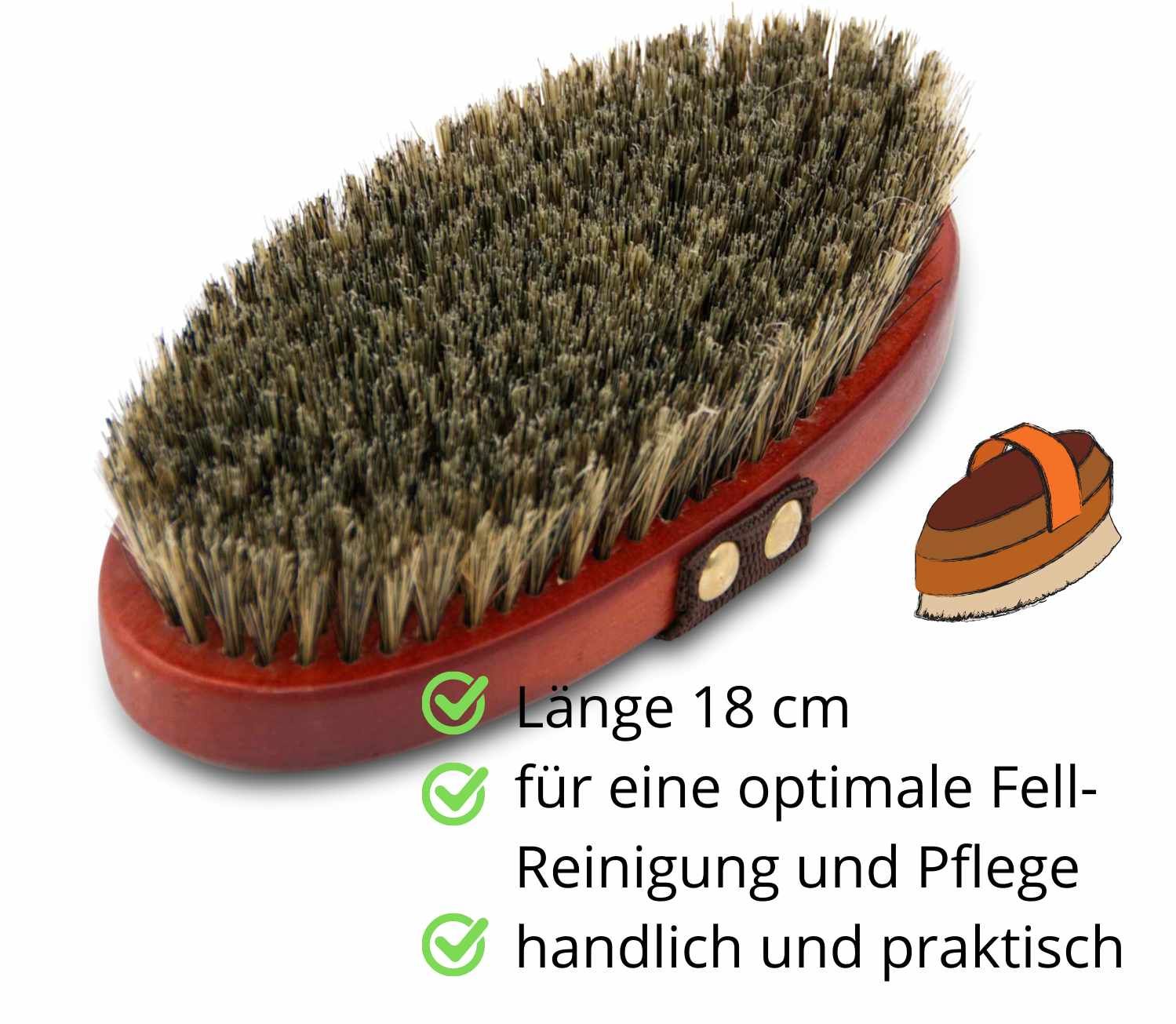 Pferdebürste mit Holzrücken, 18 cm lang. Borsten, braun. Mit Lederriemen.