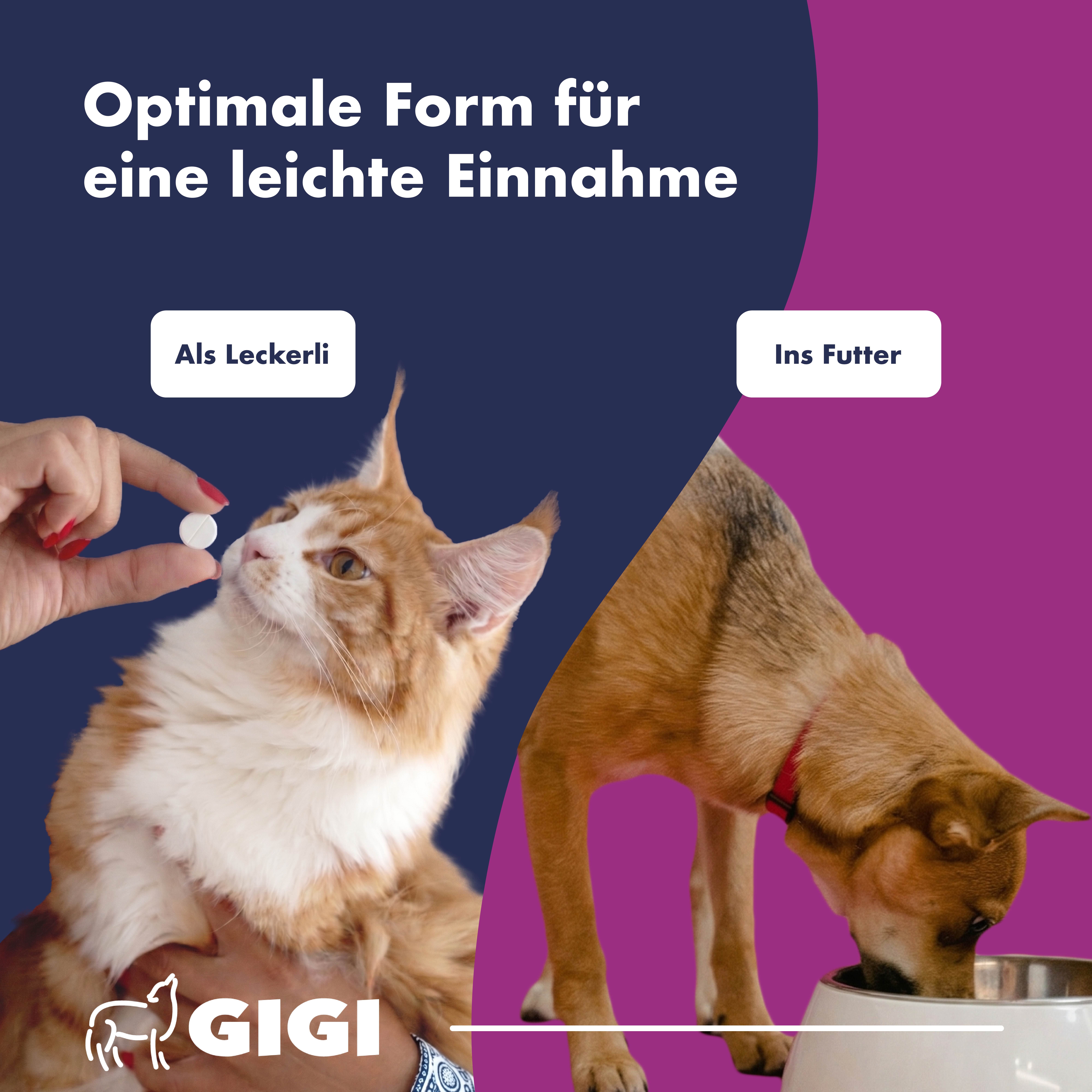 Katze und Hund. Text: Optimale Form für eine leichte Einnahme. Illustrationen: Tablette, Napf.