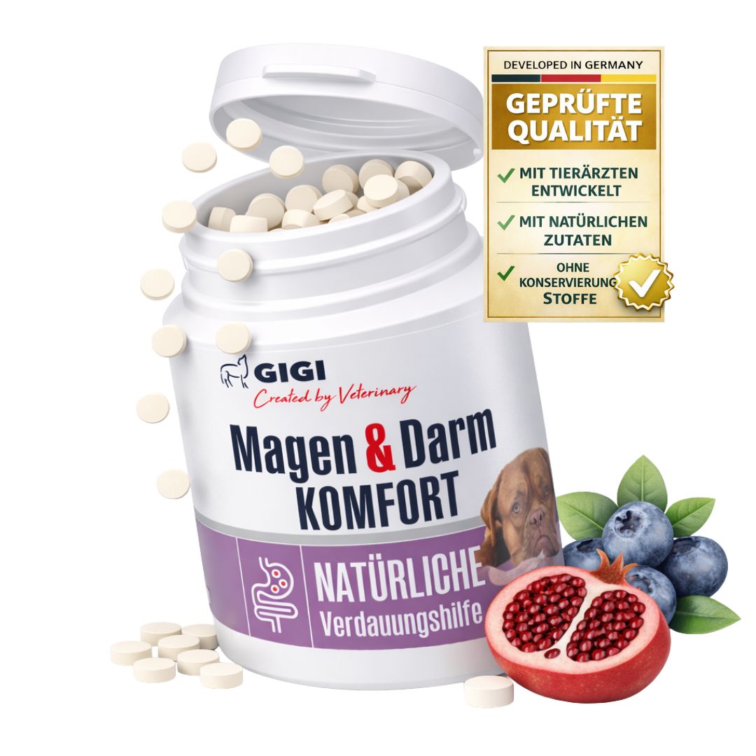 Weiße Tabletten und eine Flasche mit Produktaufschrift. Text: Magen & Darm Komfort. Natürliche Verdauungshilfe. Geprüfte Qualität. GIGI Logo.