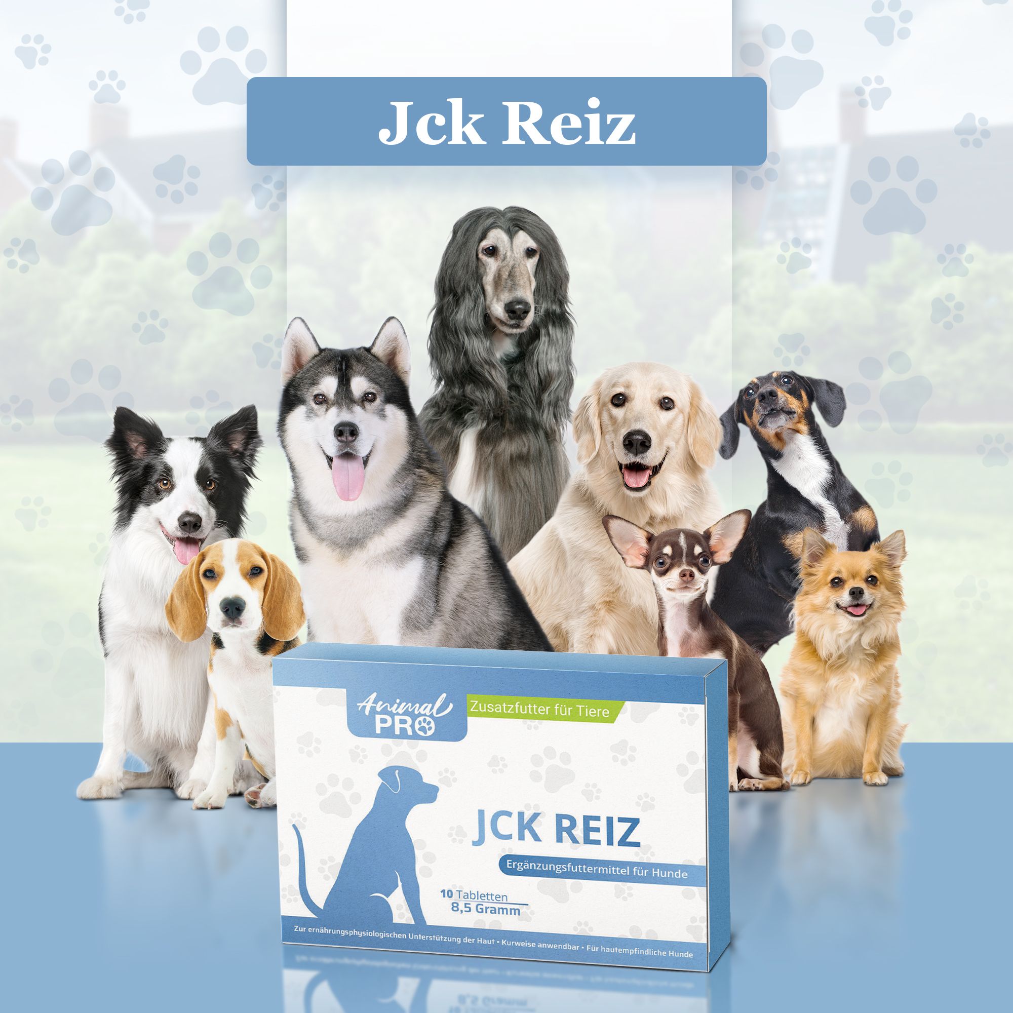 Animal Pro | JCK REIZ