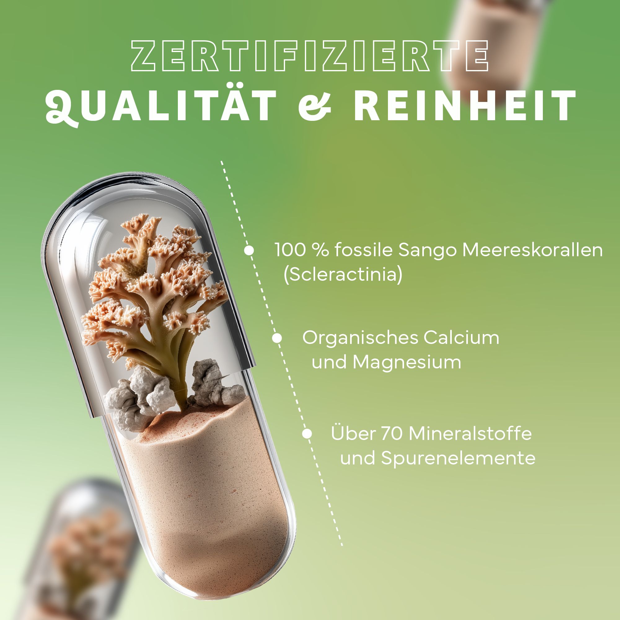Kapsel mit Korallenstruktur und Steinen. Text: 100% fossile Sango Meereskorallen, organisches Calcium und Magnesium, über 70 Mineralstoffe.