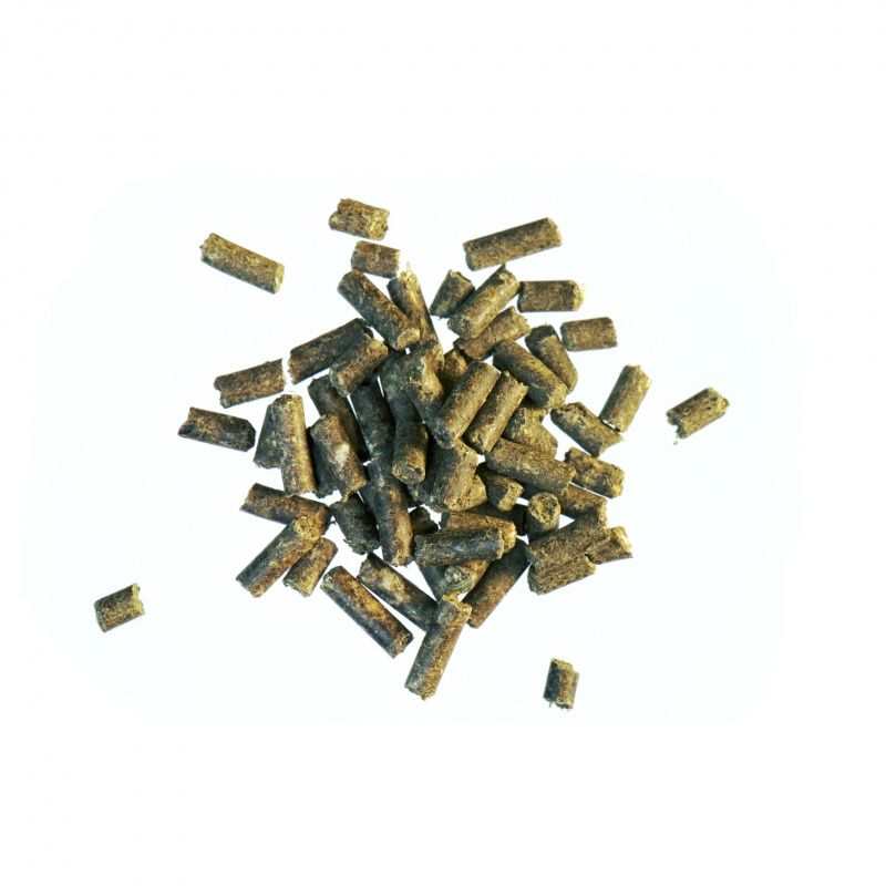Haufen zylindrischer Pellets. Grünlich-braune Farbe. Auf weißem Hintergrund.