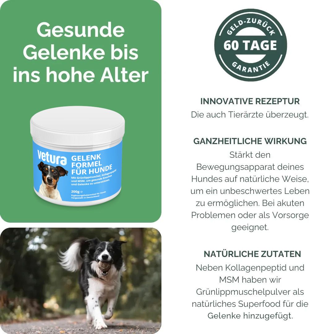 Produktabbildung im Kontext. Text: Gesunde Gelenke bis ins hohe Alter. 60 Tage Garantie. Ganzheitliche Wirkung. Natürliche Zutaten.