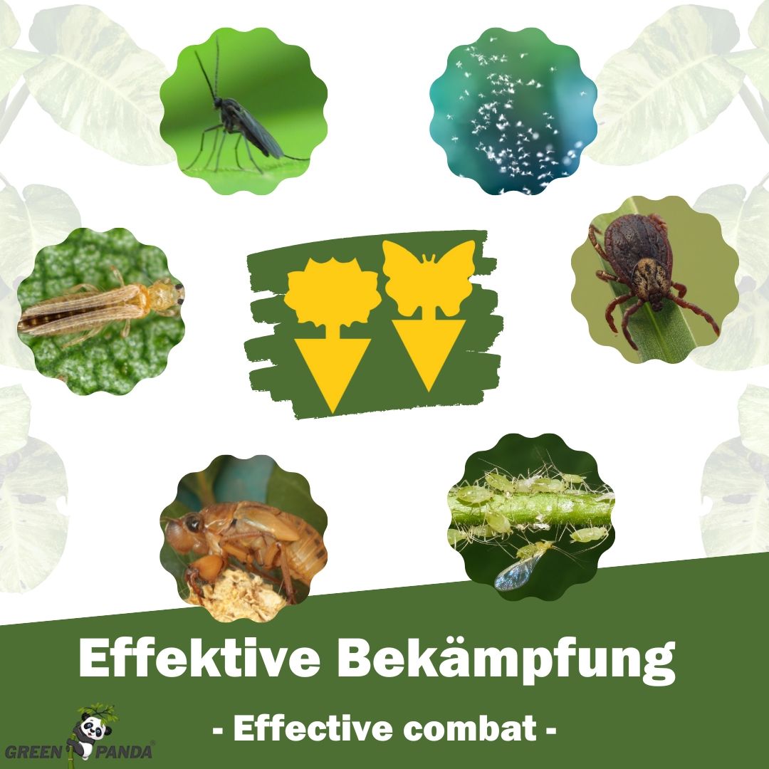 Grafik mit Insekten: Mücke, Blattläuse, Zecke, Raupe, Käfer. Text: Effektive Bekämpfung. Logo: GreenPanda.