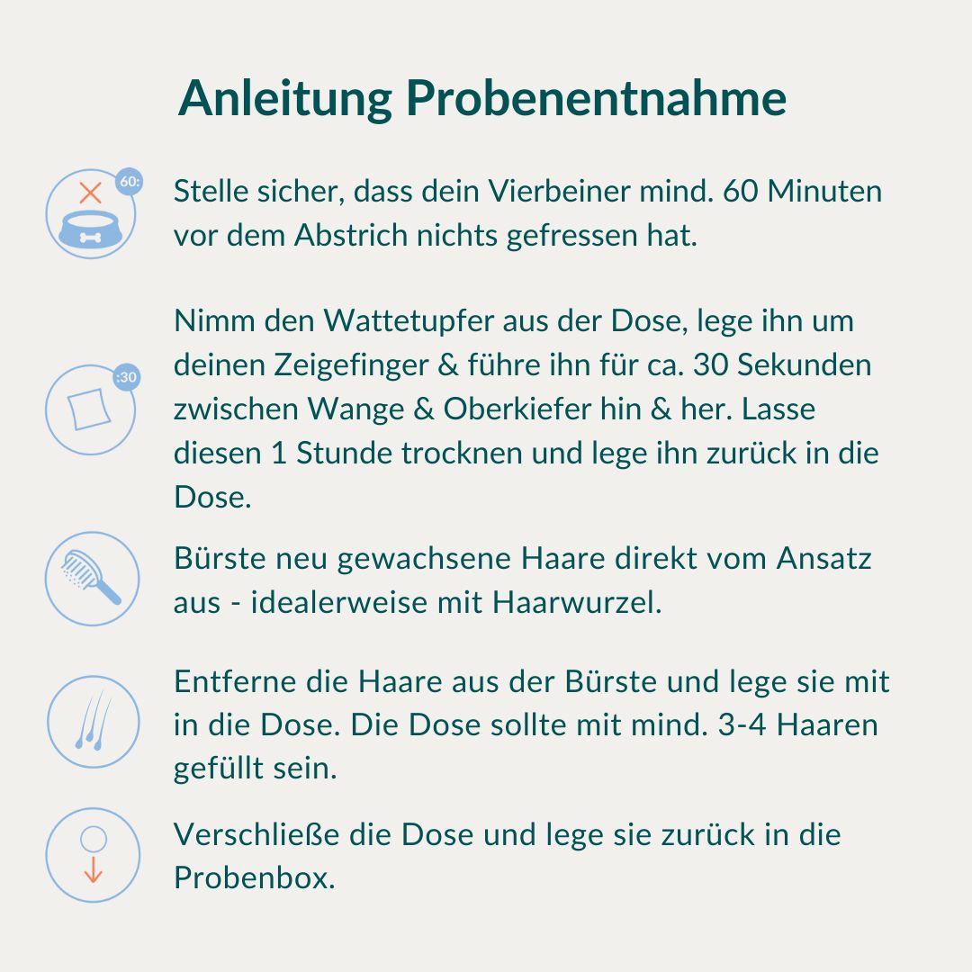 Anleitung zur Probenentnahme für Hunde-Allergietest: Speichelprobe, Trocknen, Haarentnahme.