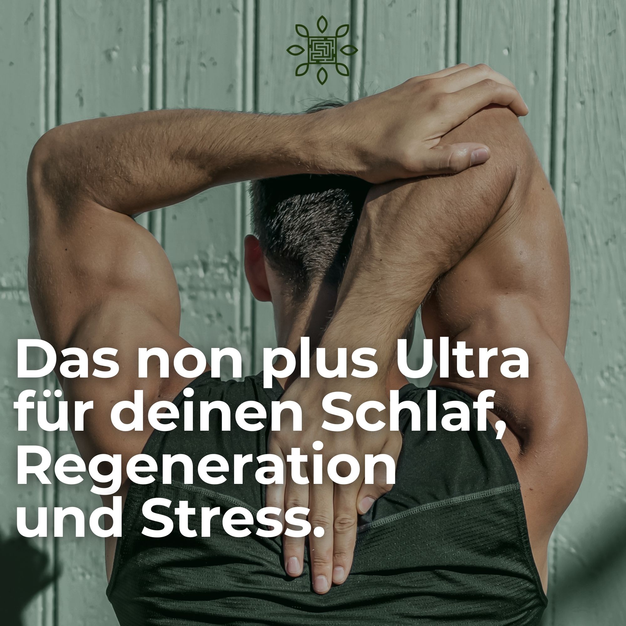 SJ-nutrition® SJ-sleep - besser Schlafen