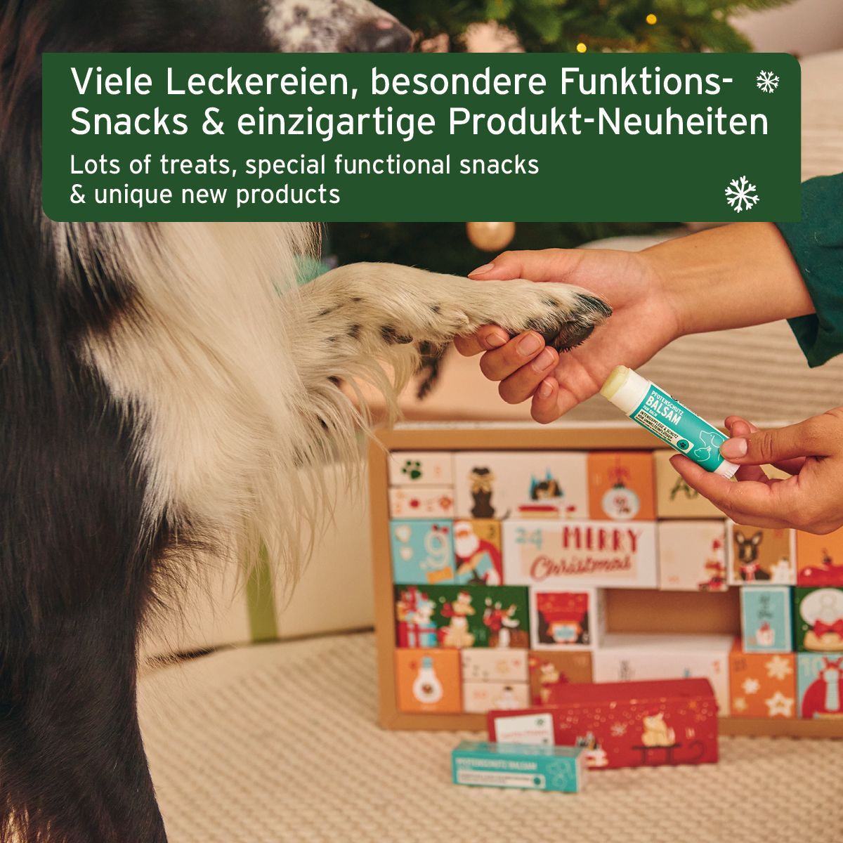 Person hält einen Adventskalender für Hunde und eine Tube. Hundepfote im Vordergrund. Aufdrucke mit weihnachtlichen Motiven und der Aufschrift "Merry Christmas".