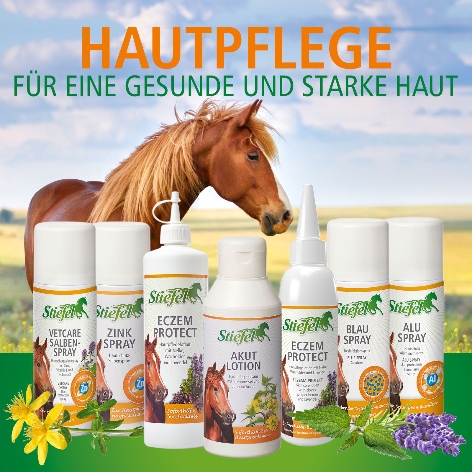 Mehrere Stiefel-Produkte für Pferde. Zinkspray, Vetcare, Ekzemschutz, Akut Lotion, Blau Spray und Alu Spray. Pferdeabbildung.