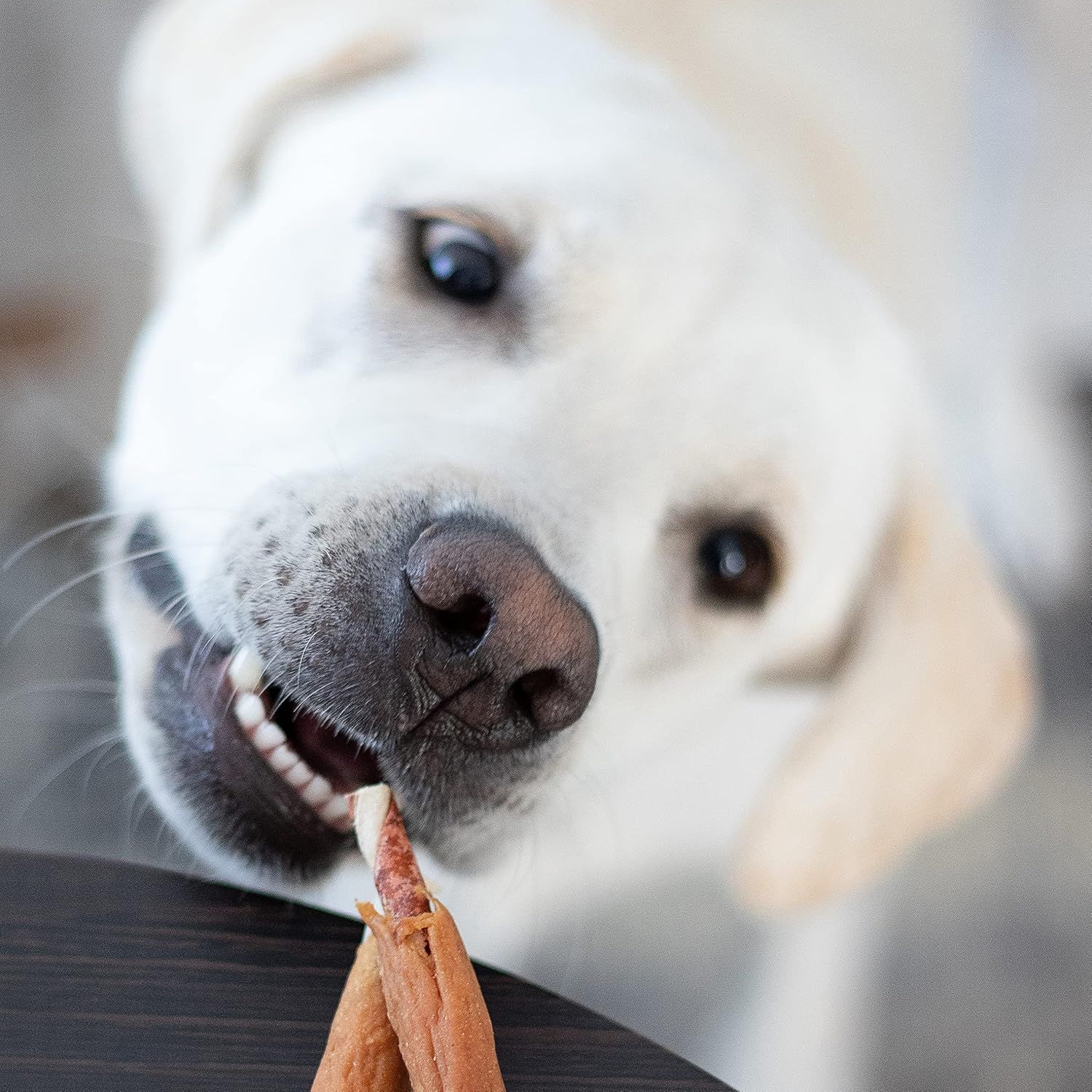 8in1 Triple Flavour Ribs Kaustangen für Hunde