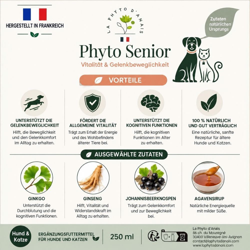 Phyto Senior Flüssigkeit in brauner Glasflasche, 250ml. Für Hunde und Katzen zur Vitalität und Gelenkbeweglichkeit. Zutaten: Ginkgo, Ginseng, Johannisbeere.
