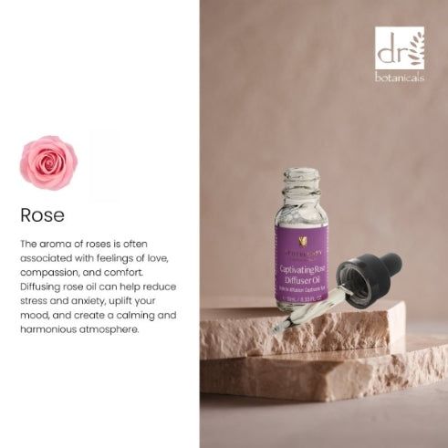 Flasche ätherisches Öl mit Pipette. Aufschrift: Captivating Rose Diffuser Oil. Marke: Dr Botanicals. Rose-Blüte.