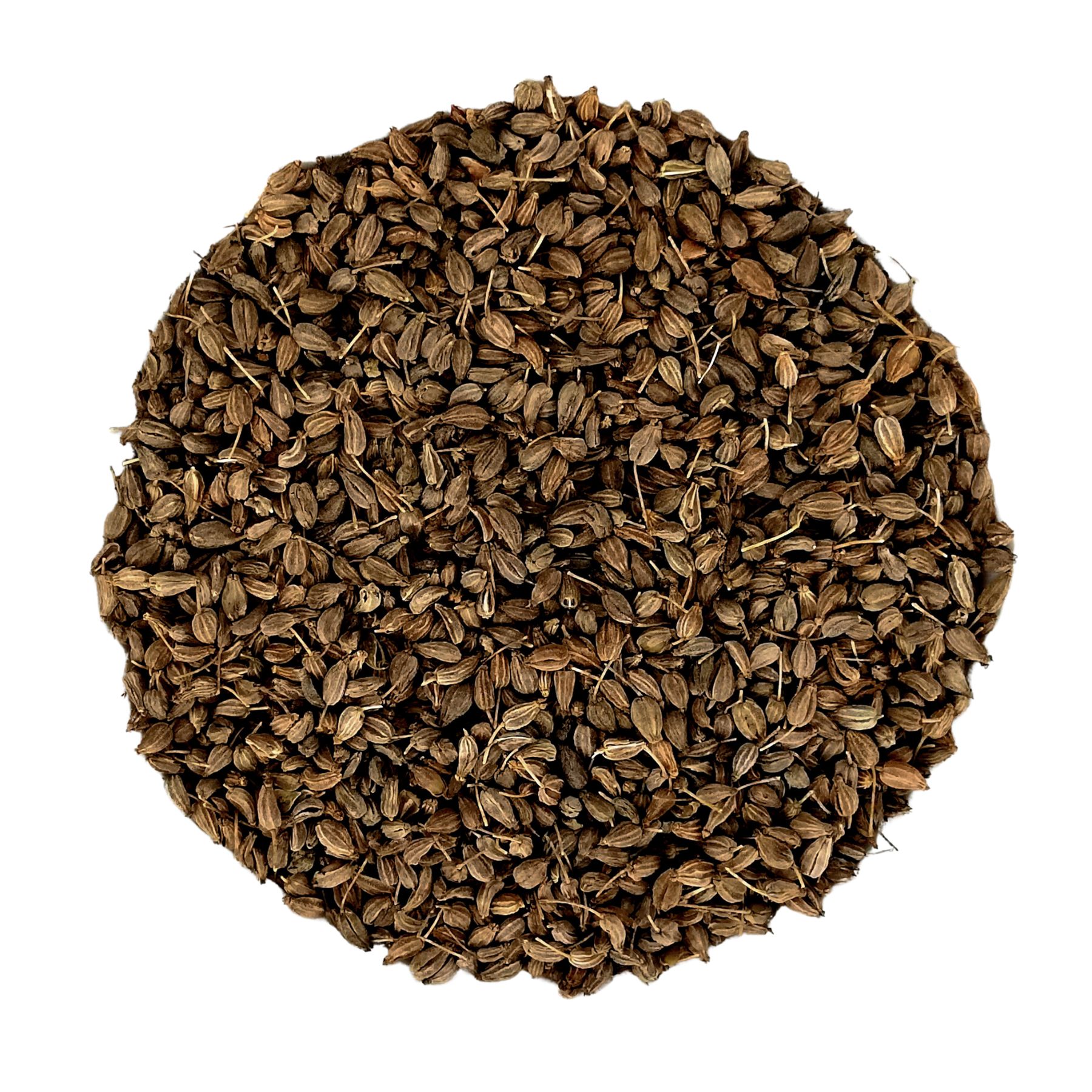 Haufen getrockneter Anissamen. Braune, sternförmige Samen mit kleinen Stielen. Auf weißem Hintergrund.
