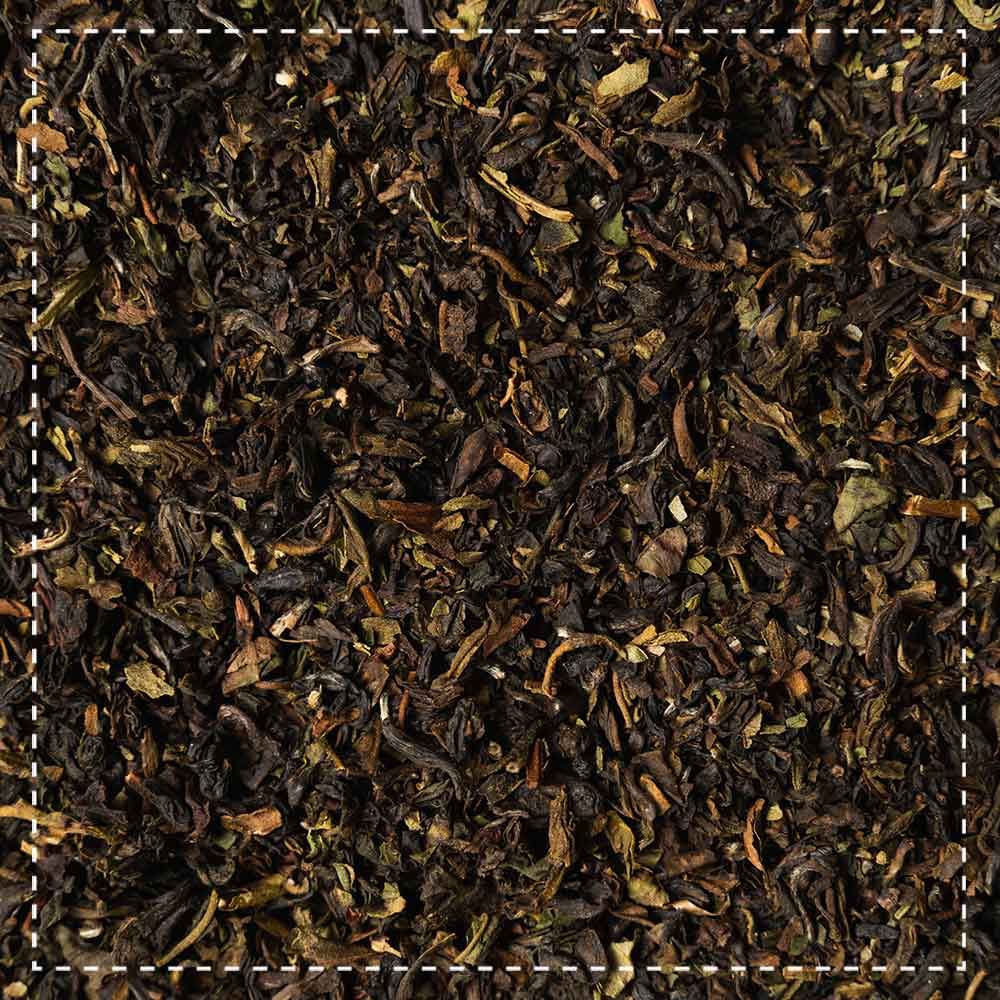 Nahaufnahme von losem Schwarztee. Dunkelbraune Teeblätter mit grünen und hellbraunen Bestandteilen. Quadratischer Ausschnitt.