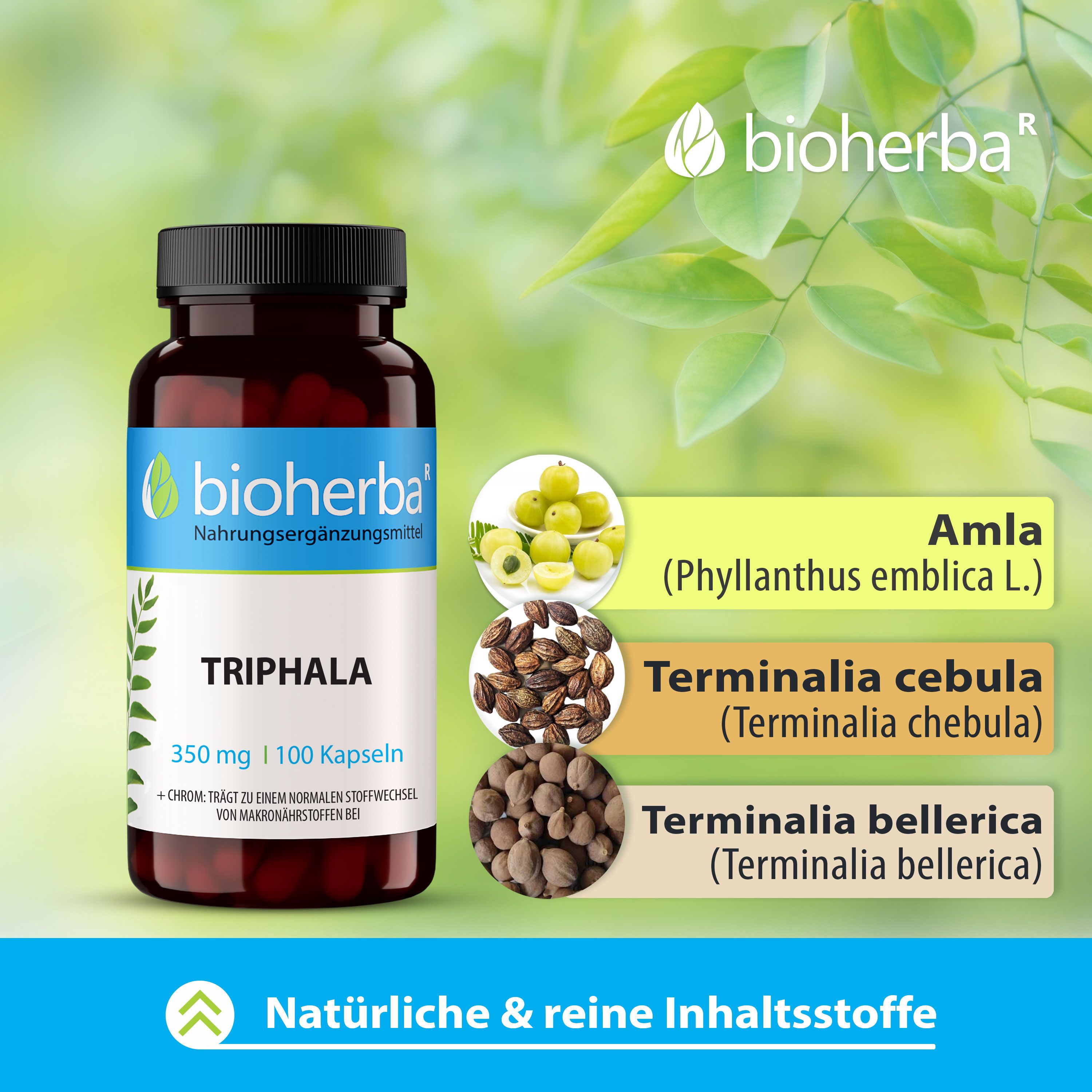 Flasche mit schwarzen Deckel, daneben Abbildungen von Früchten. Aufschrift: Bioherba, Triphala, 350 mg | 100 Kapseln. Inhaltsstoffe.