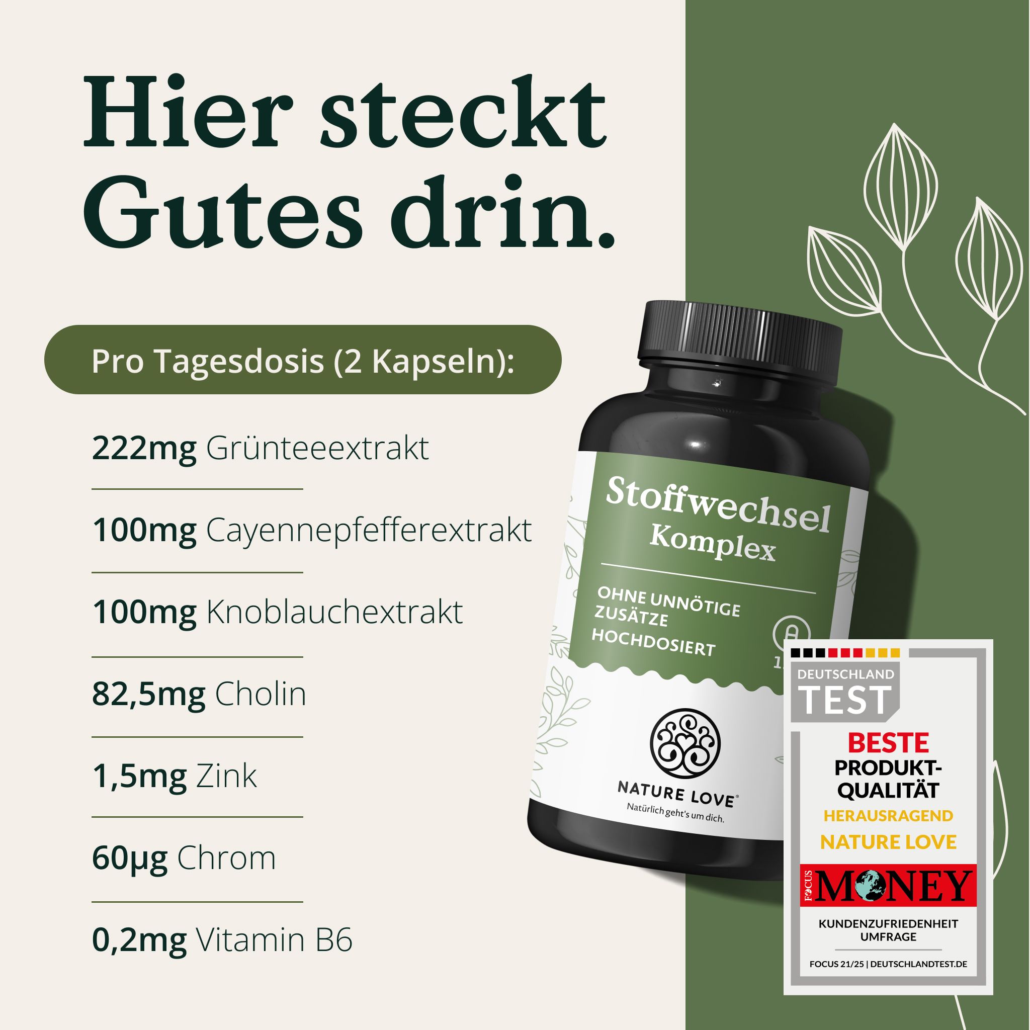 Nahaufnahme eines Staubsaugeraufsatzes, der auf einem Teppich sprüht.