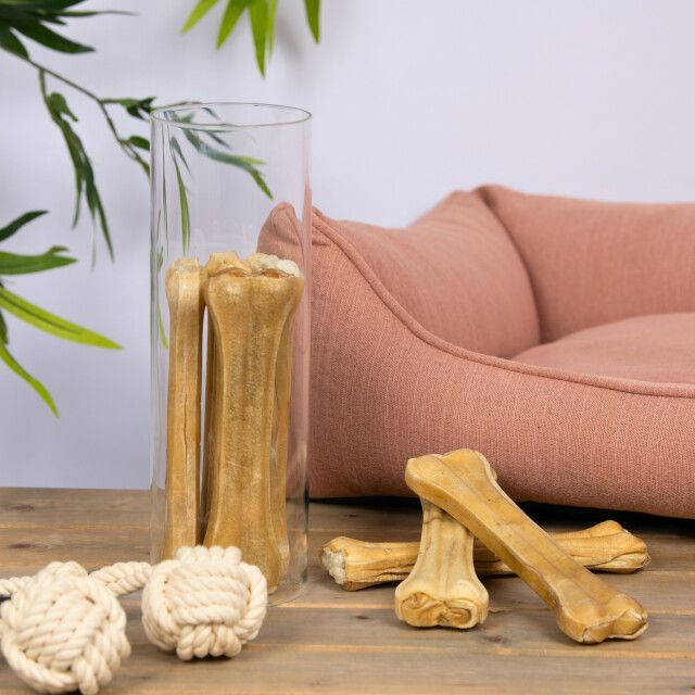 Kauknochen in Glasvase und auf Holz. Zwei geknotete Seile. Rosa Hundebett im Hintergrund.