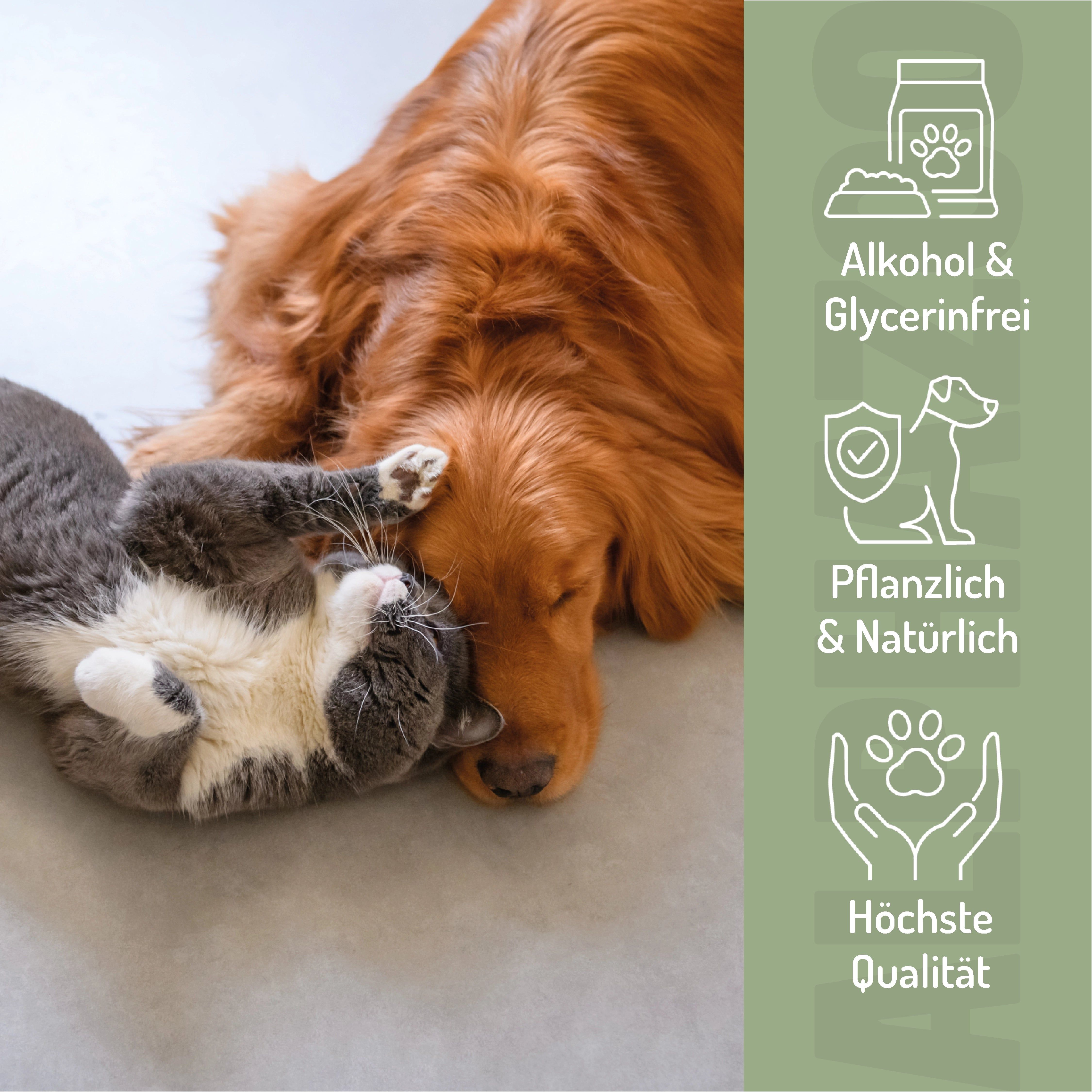 Hund und Katze liegen entspannt. Logos: Alkohol- & Glycerinfrei, Pflanzlich & Natürlich, Höchste Qualität. Text: ALPHAZOO.