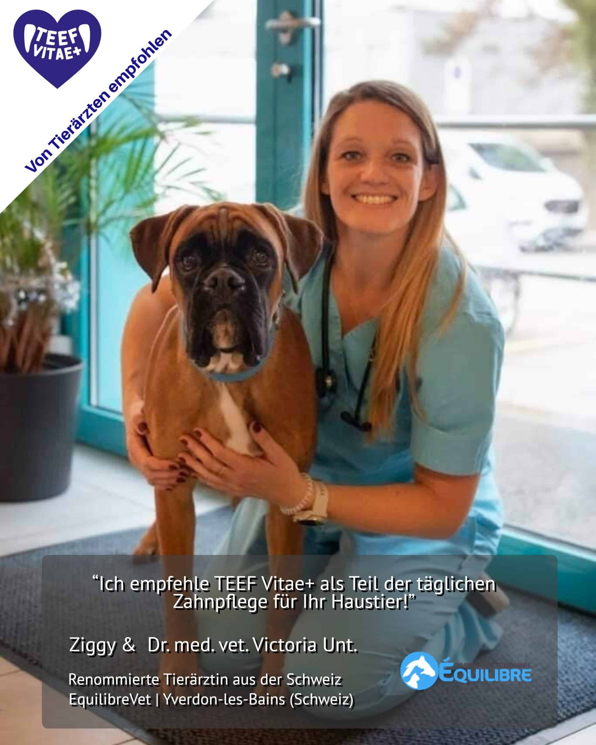 Frau mit Hund. Text: Empfohlen von Tierärzten. Zitat: Zahnpflege für Ihr Haustier! Ziggy & Dr. med. vet. Victoria Unt.