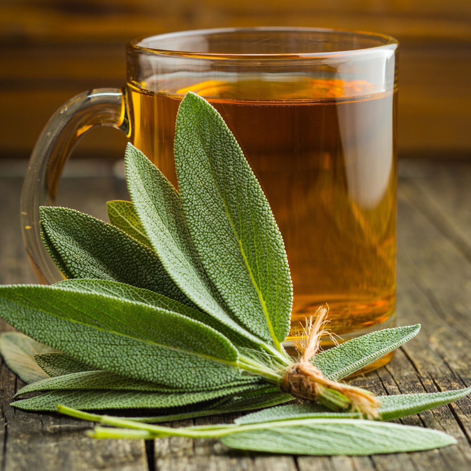Glasbecher mit Tee und Salbeiblätter-Bündel. Blätter mit Schnur gebunden. Holzuntergrund.
