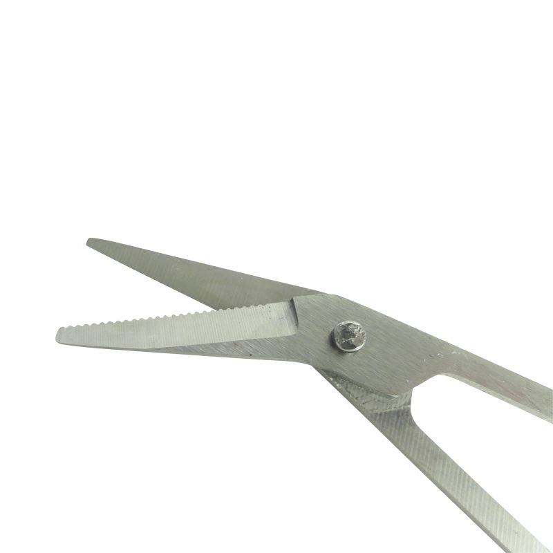 Nahaufnahme Nagelknipser-Klingen. Metall, gezahnte Klinge. Für Fußpflege.