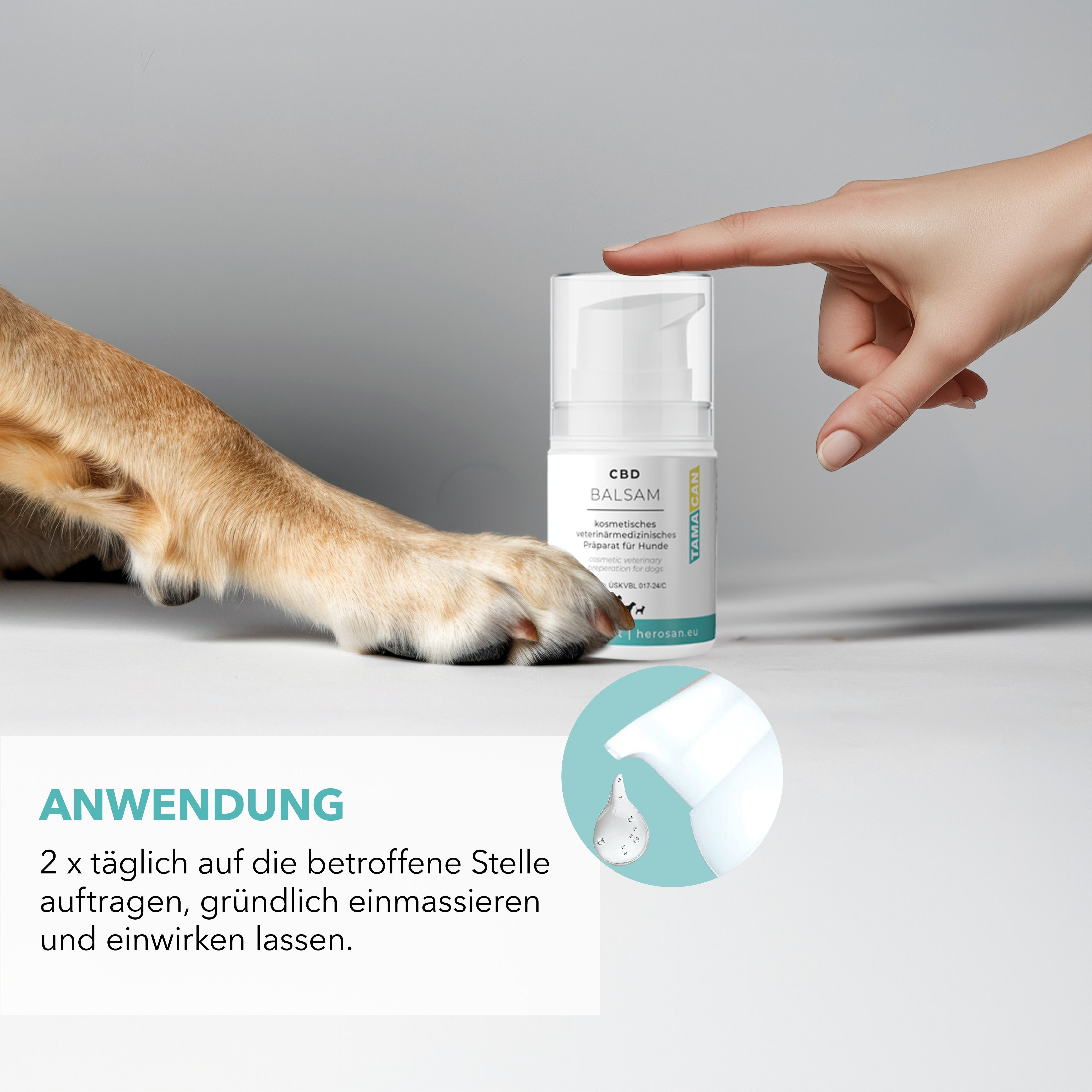 Anwendung von CBD Balsam für Hunde. Eine Hand drückt den Spender. Text: 2x täglich auf die betroffene Stelle auftragen.