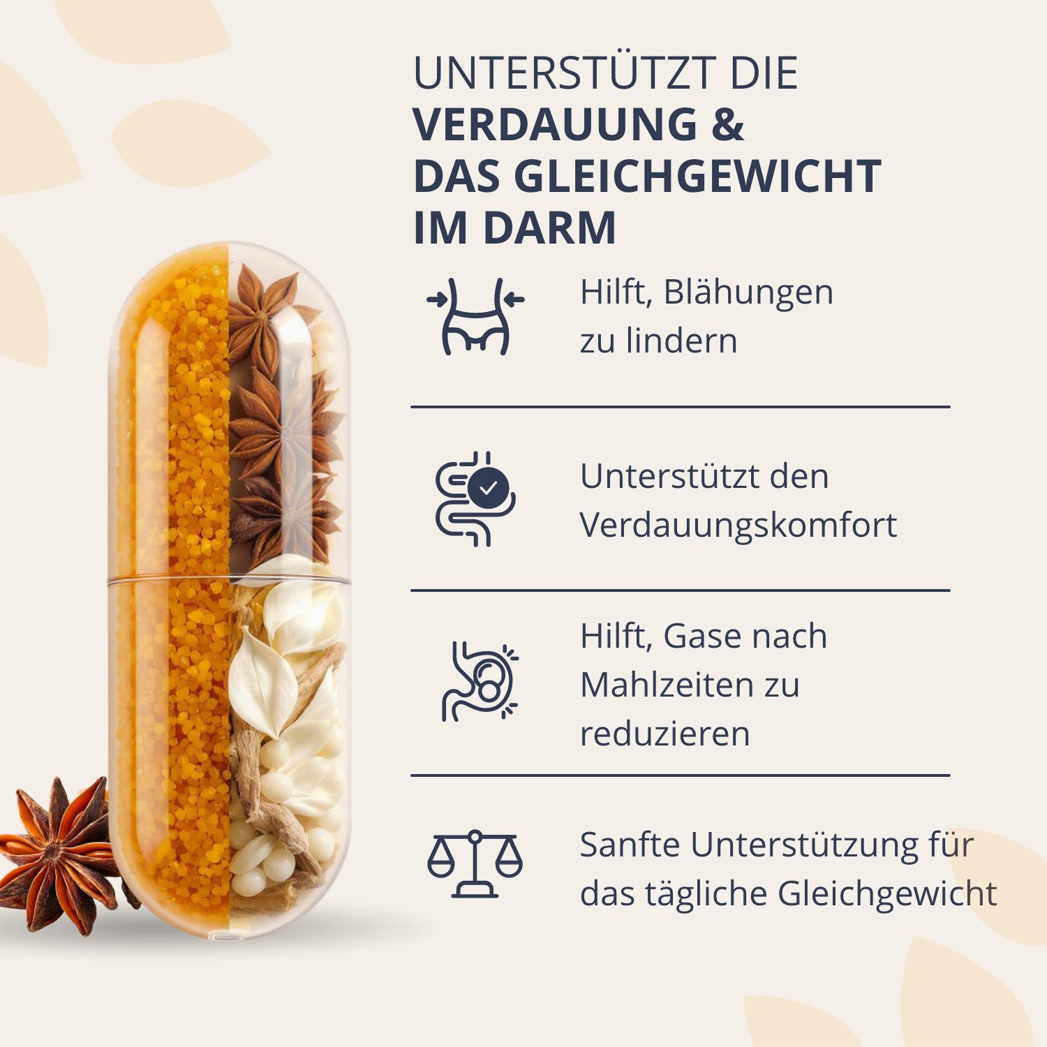 Eine Kapsel mit sichtbaren natürlichen Inhaltsstoffen wie Sternanis. Unterstützt Verdauung und Darmgewicht.