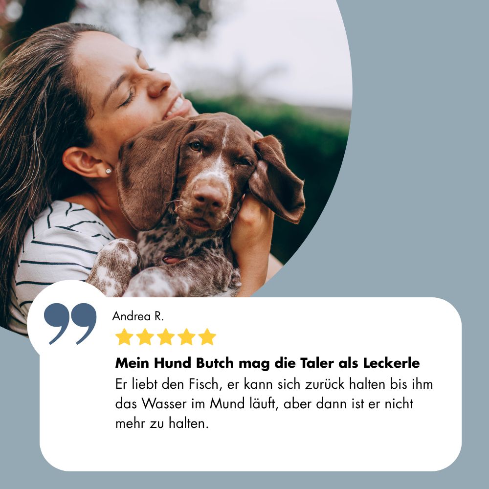 Frau umarmt einen Hund. Ein Zitat und Sternebewertung sind sichtbar.