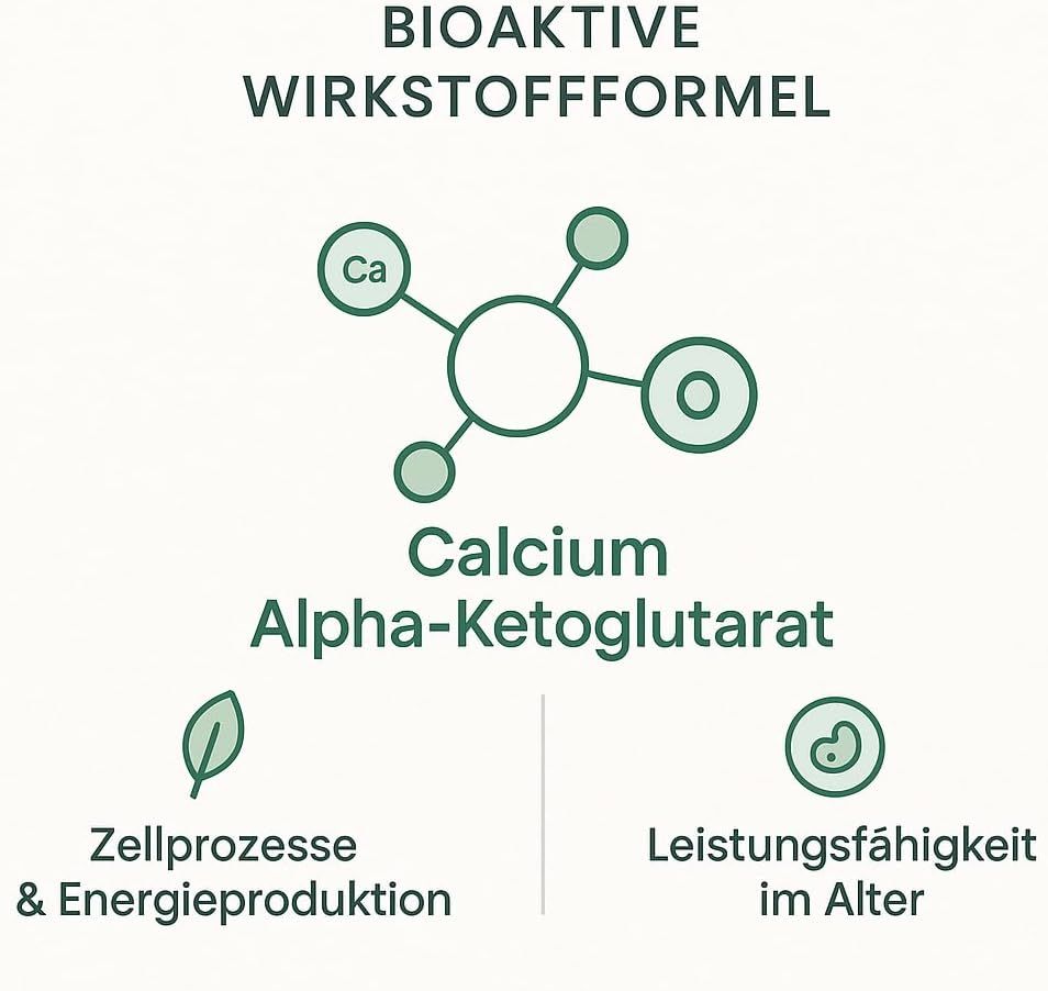 Grafik: Bioaktive Wirkstoffformel. Calcium Alpha-Ketoglutarat. Zellprozesse & Energieproduktion. Leistungsfähigkeit im Alter.