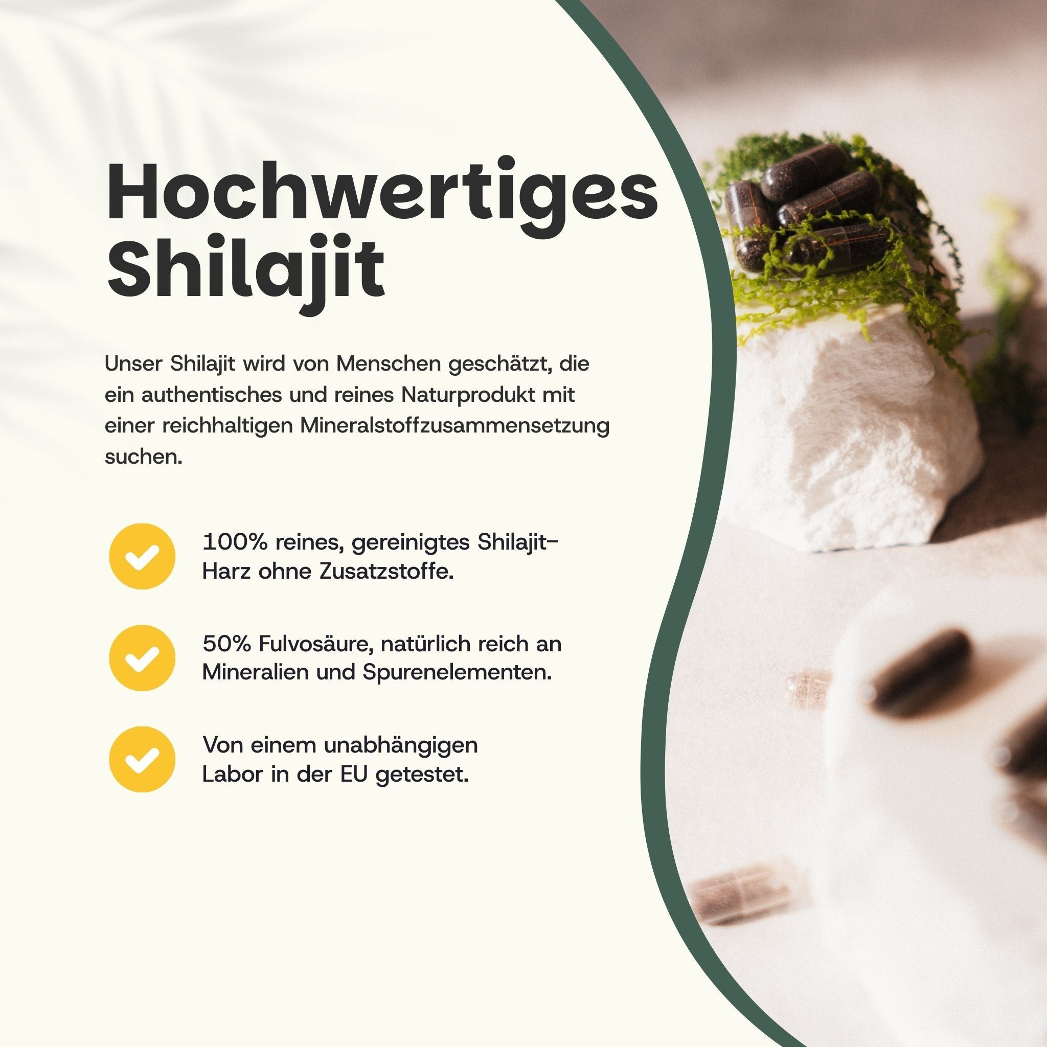 Text mit gelben Häkchen: 100% reines Shilajit, 50% Fulvinsäure, Labor getestet. Shilajit-Kapseln auf Stein.
