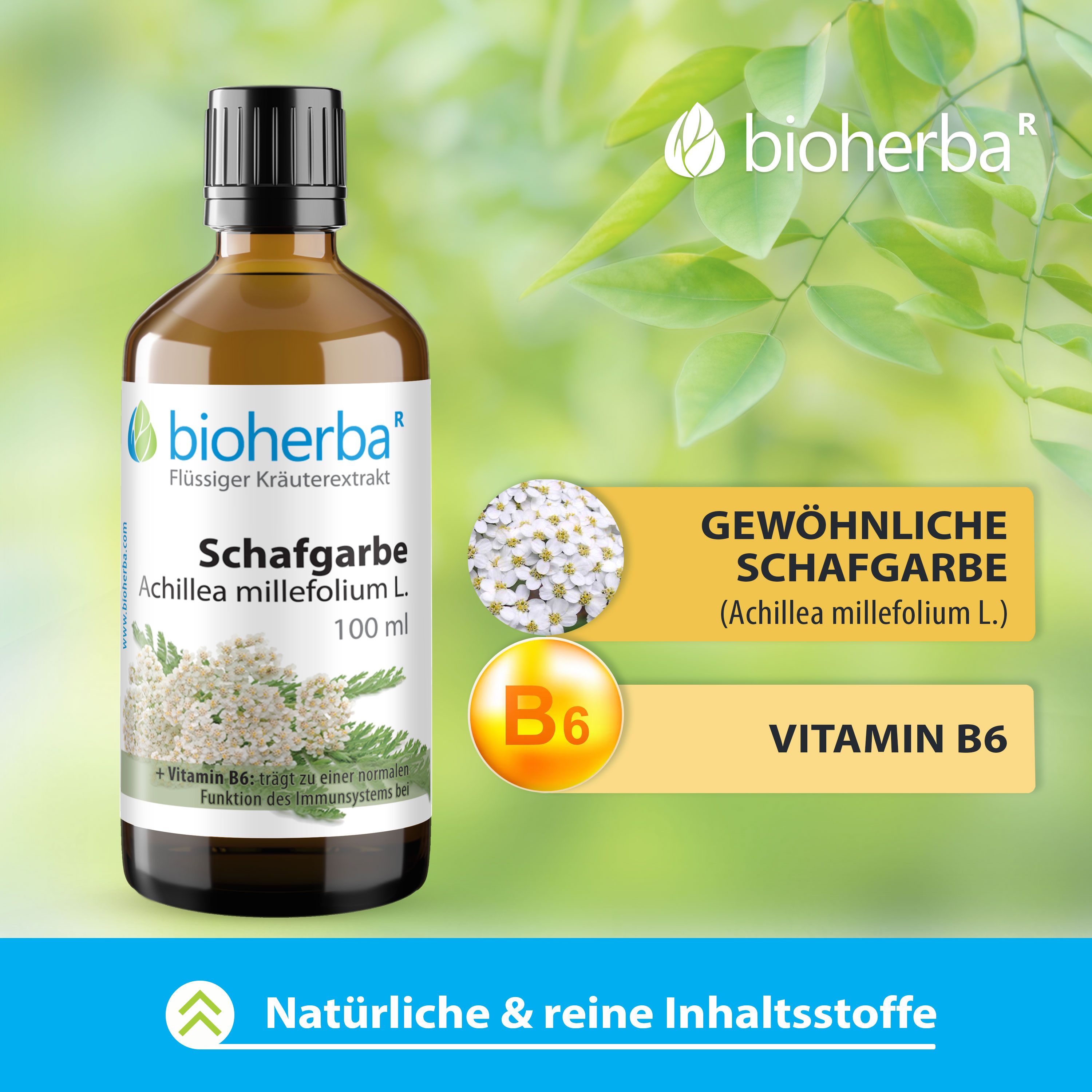 Braune Glasflasche mit schwarzem Deckel. Bioherba Schafgarbe Achillea millefolium L. 100 ml. Vitamin B6.