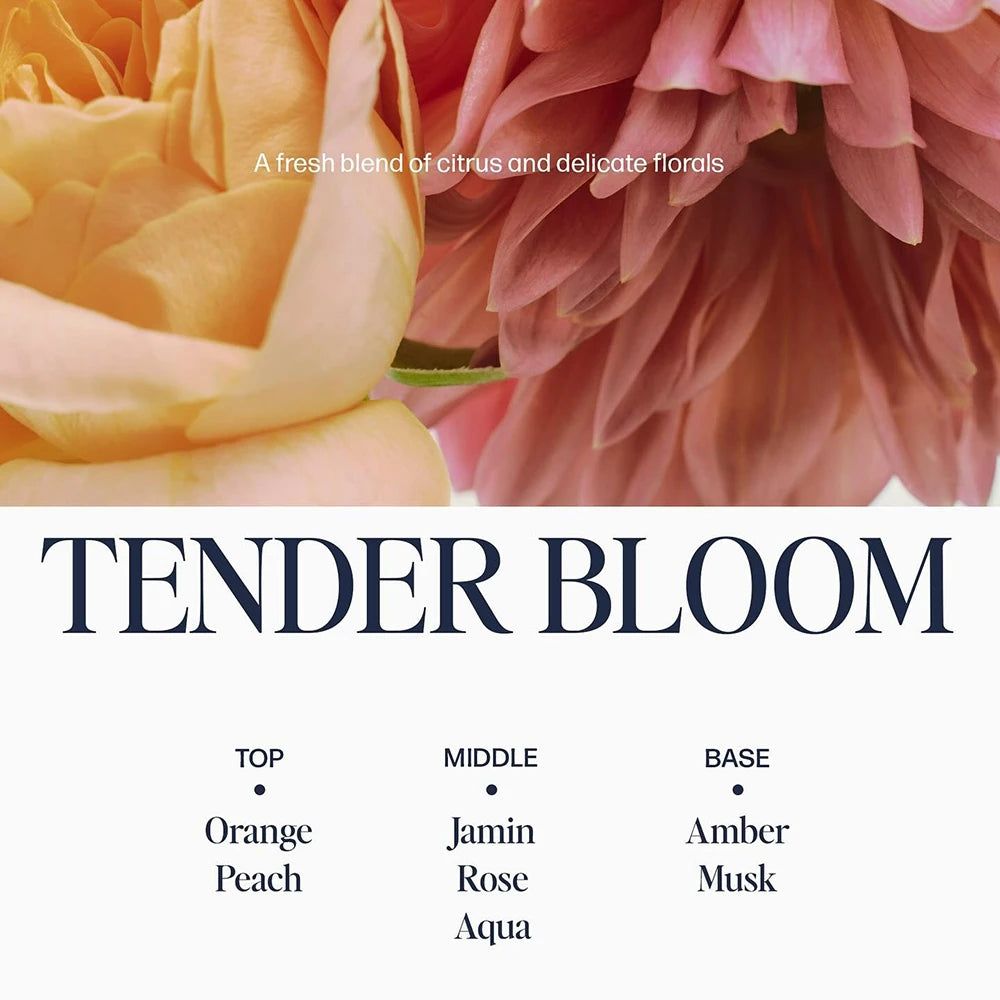 Nahaufnahme von Blumen, darunter Text "TENDER BLOOM" und Duftnoten: Orange, Pfirsich, Jasmin, Rose, Aqua, Amber, Moschus.