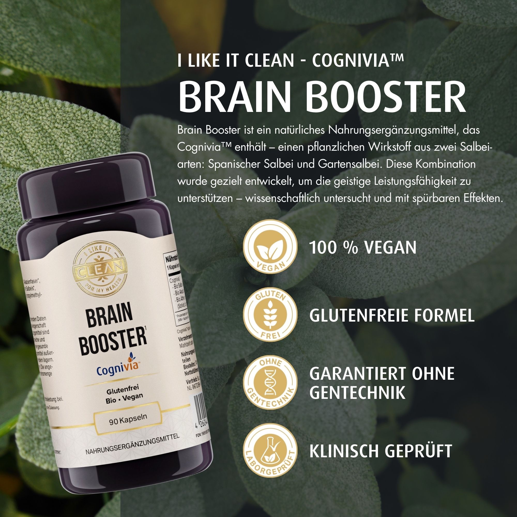 Braunglas-Flasche mit Kapseln. Aufschrift: Brain Booster, Cognivia. Text: 100% vegan, glutenfrei, ohne Gentechnik, klinisch geprüft.